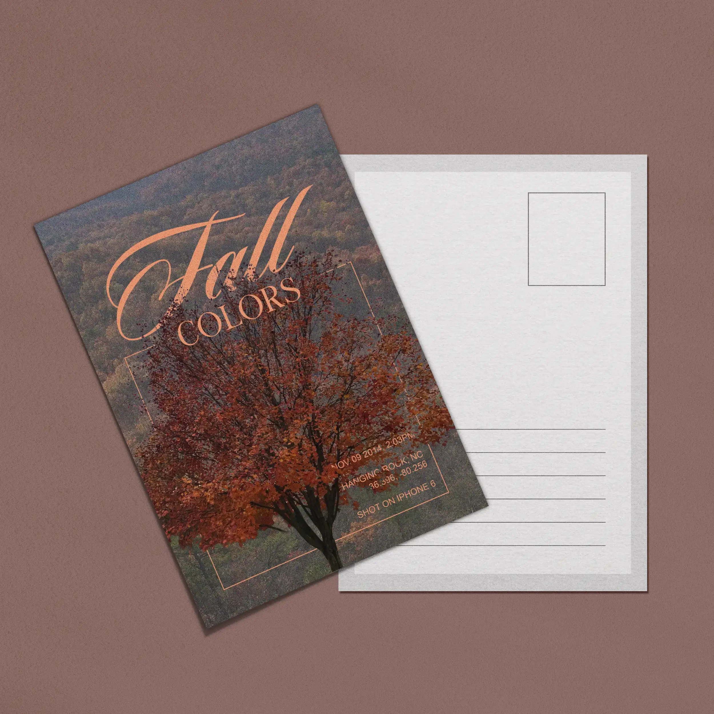 fall.webp