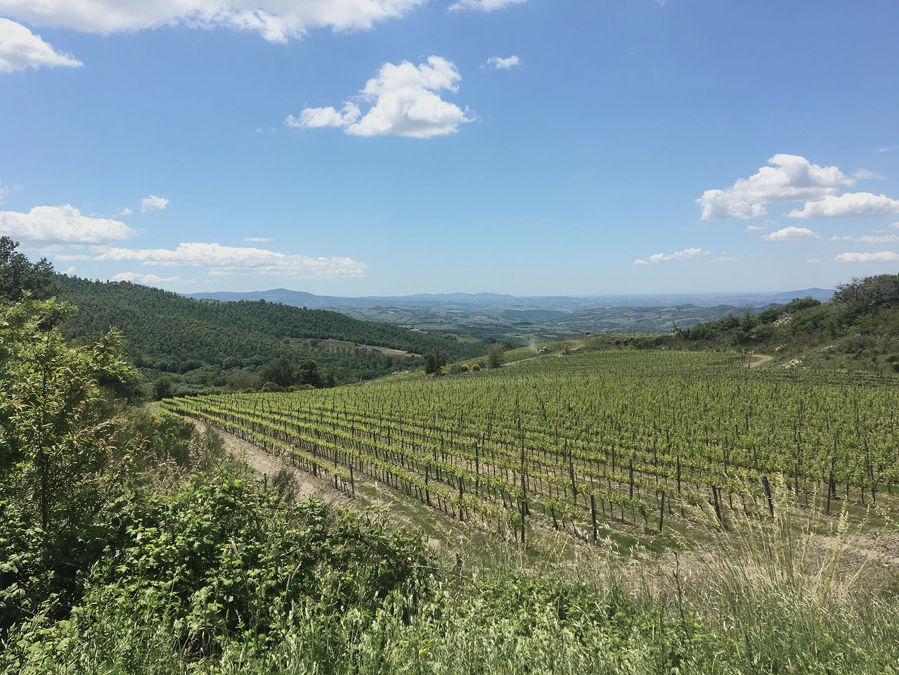 PCC - Wohn über Weingut, Toskana, IT