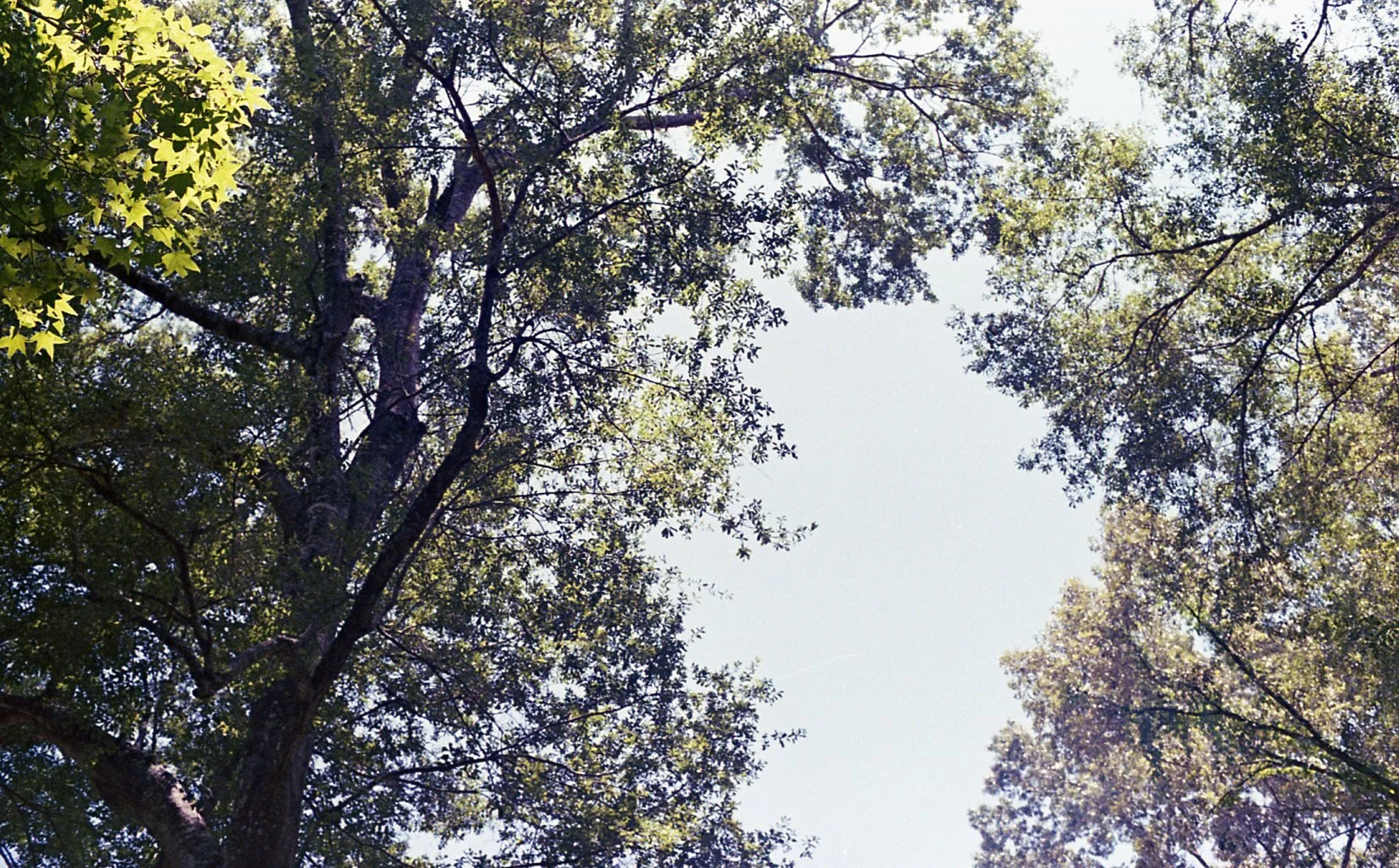 Love Alignment