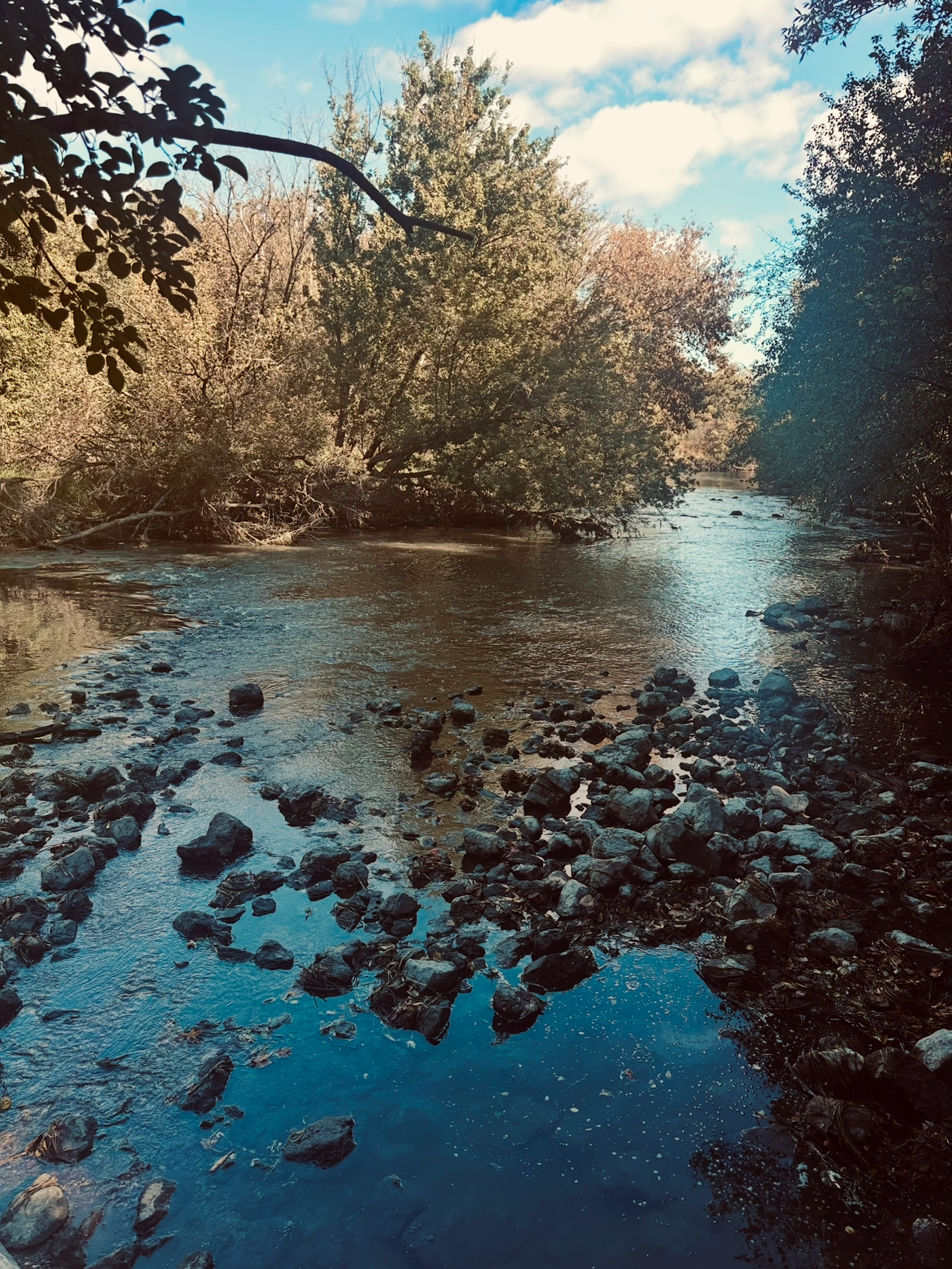 IMG_7917.png