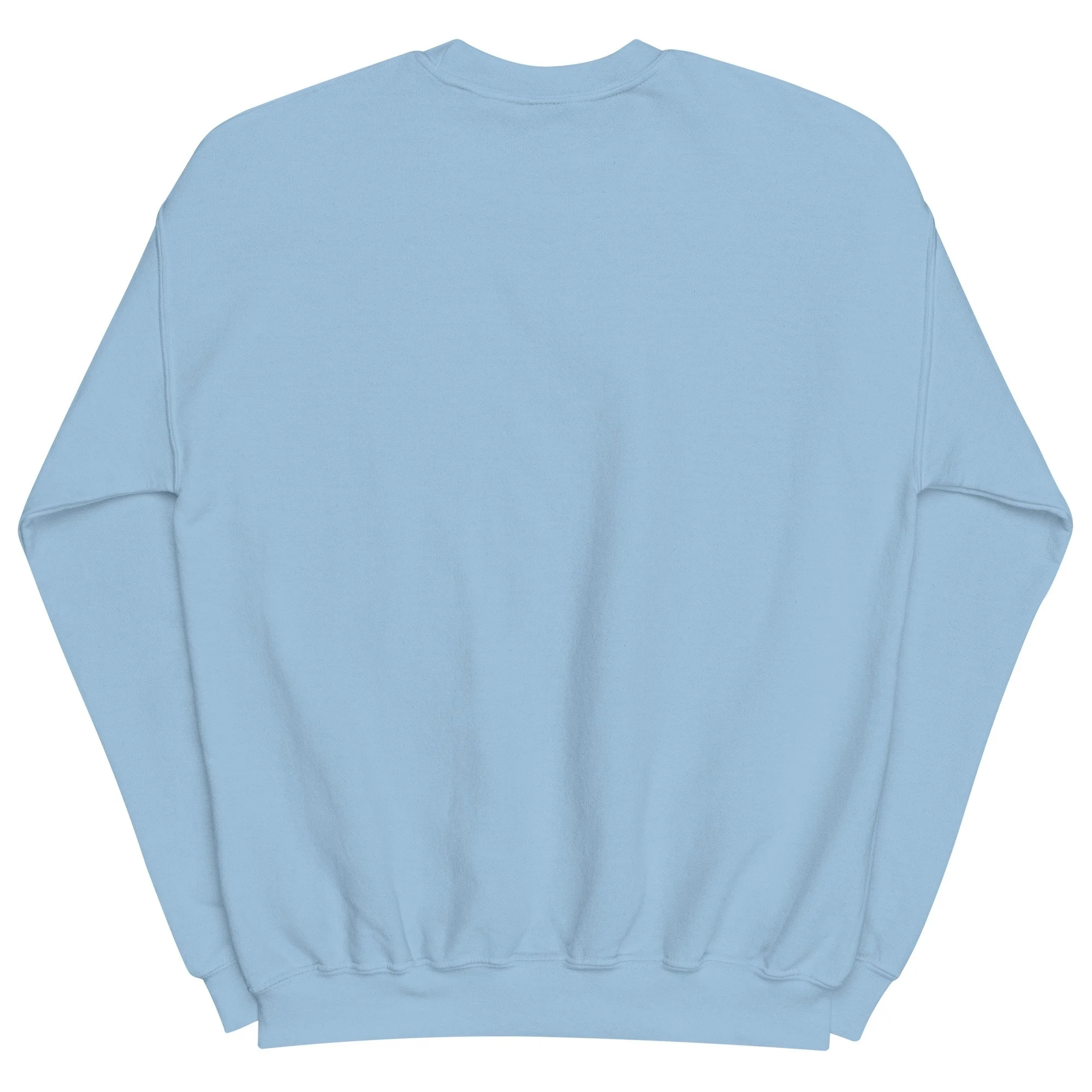 unisex-crew-neck-sweatshirt-light-blue-back-68b1d6ee07735.jpg