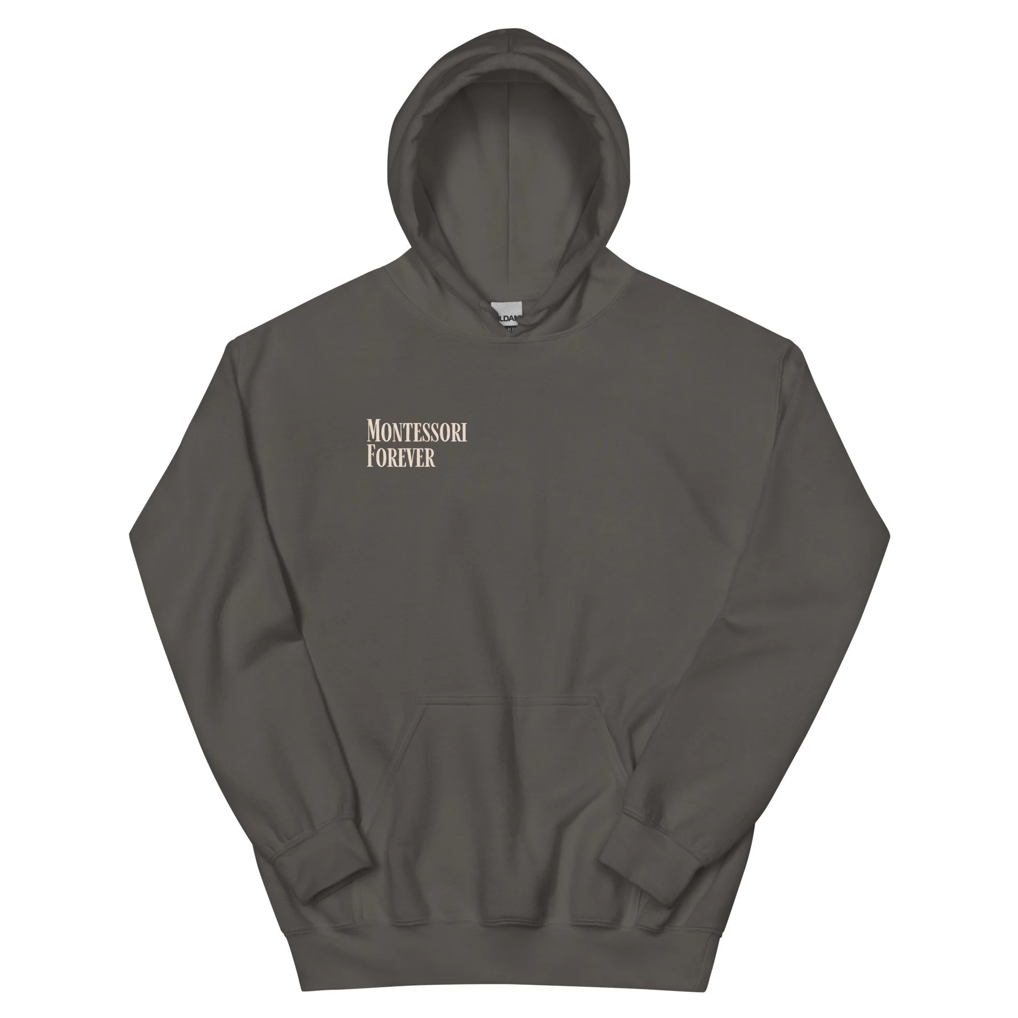 unisex-heavy-blend-hoodie-charcoal-front-68b1e4723fb88.jpg