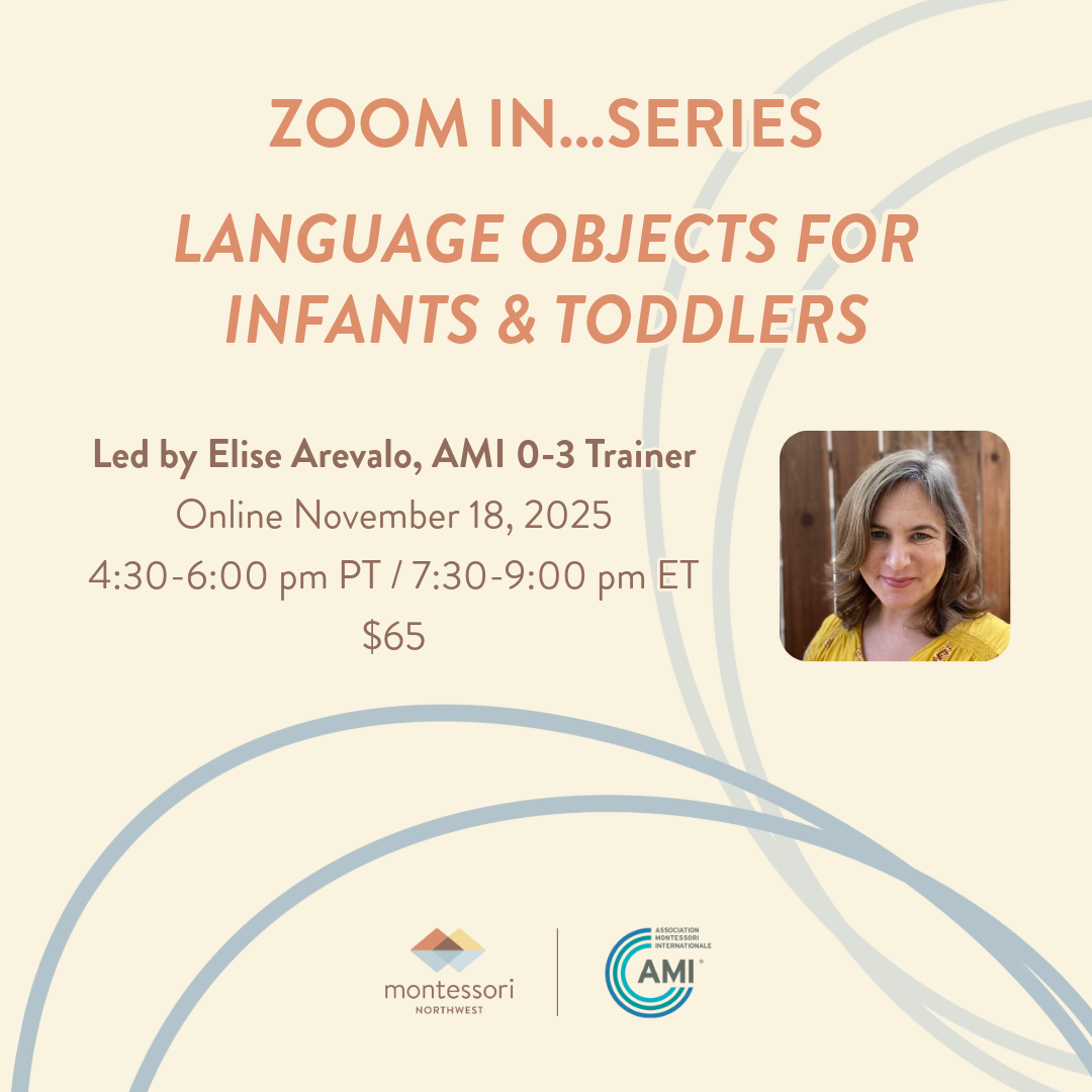 0-3 Zoom In: Language Objects for Infants & Toddlers