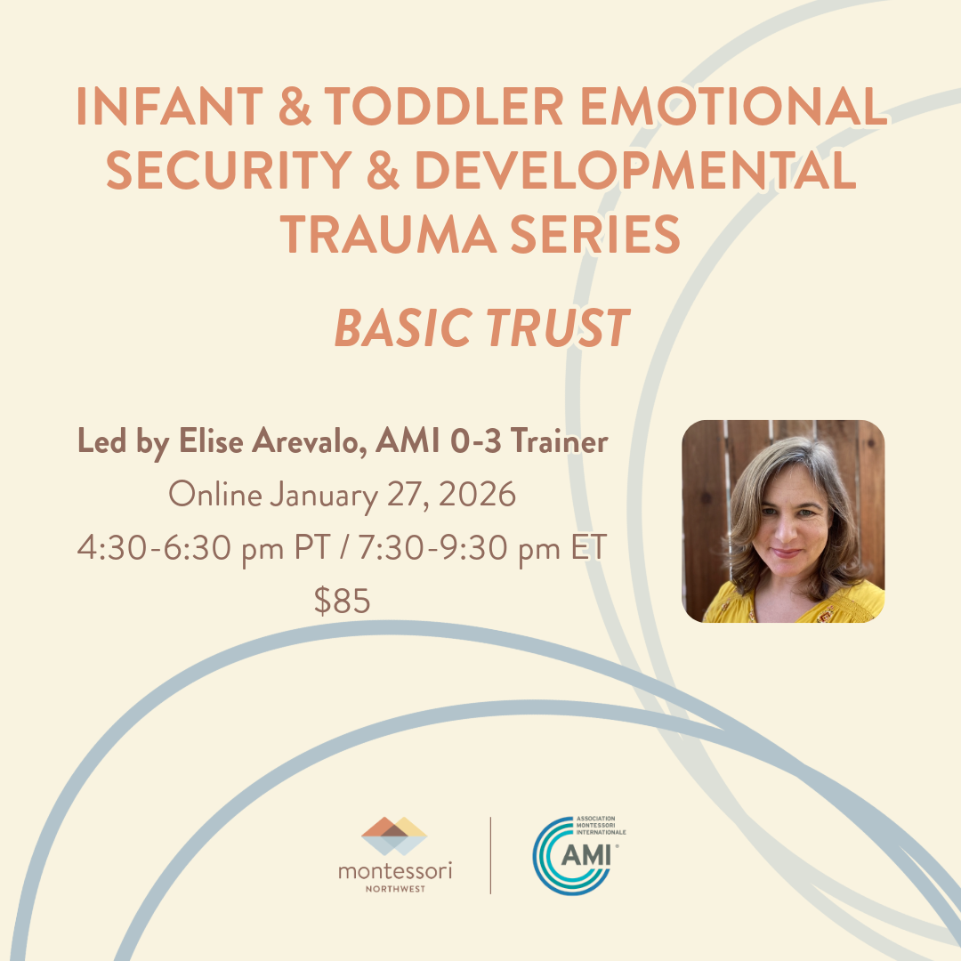 Infant & Toddler Emotional Security & Developmental Trauma Series: Basic Trust