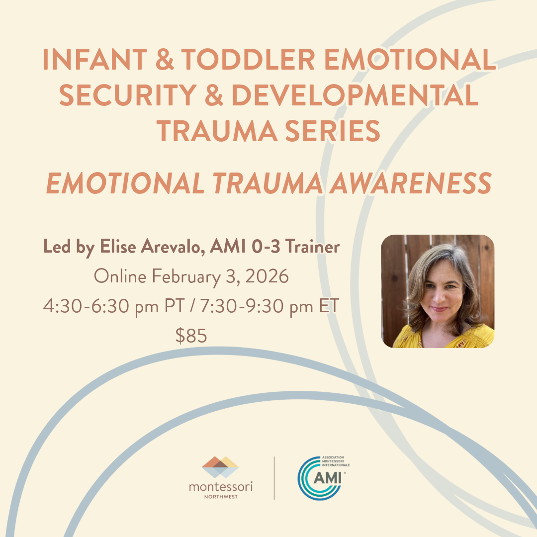 Infant & Toddler Emotional Security & Developmental Trauma Series: Early Trauma Awareness