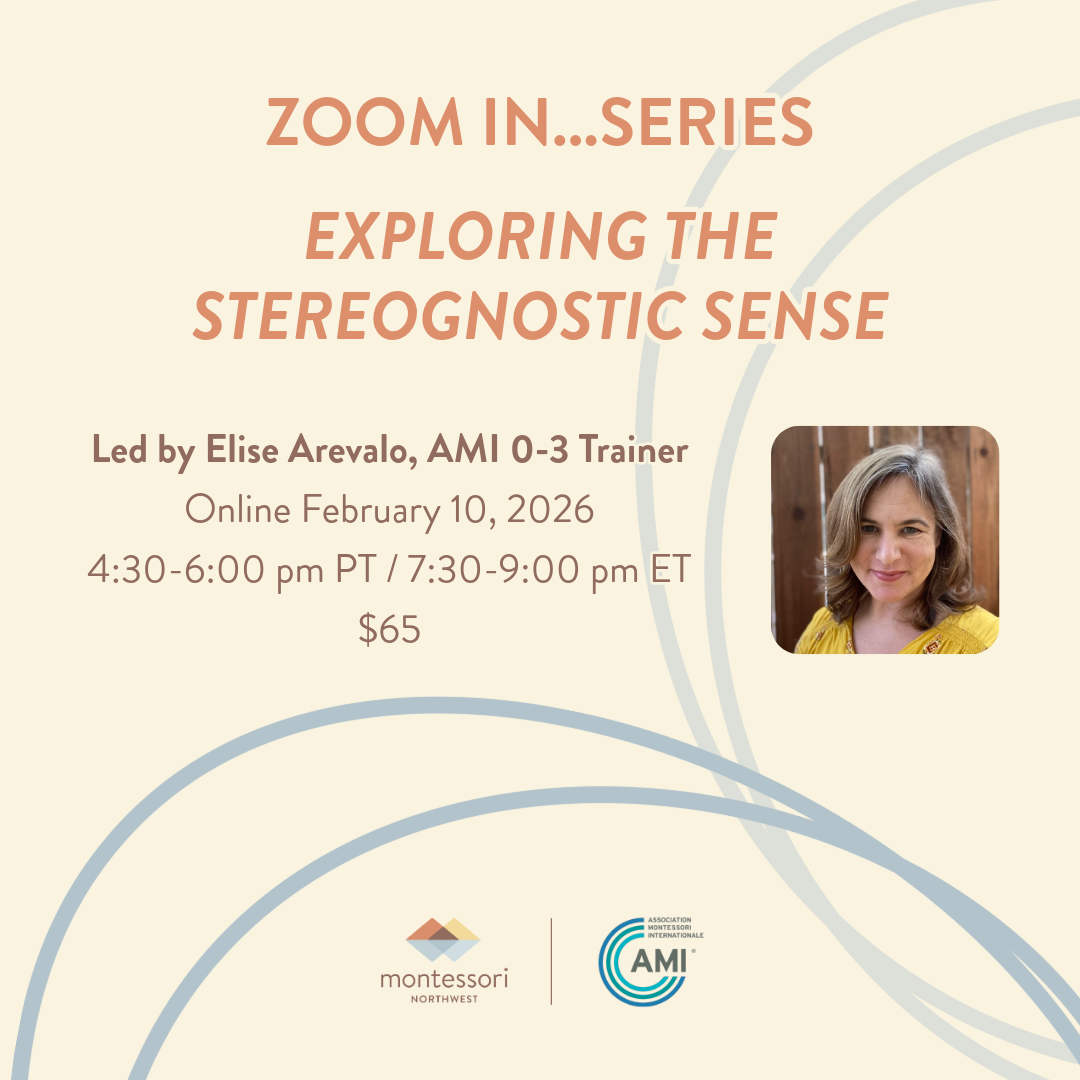 0-3 Zoom In: Exploring the Stereognostic Sense