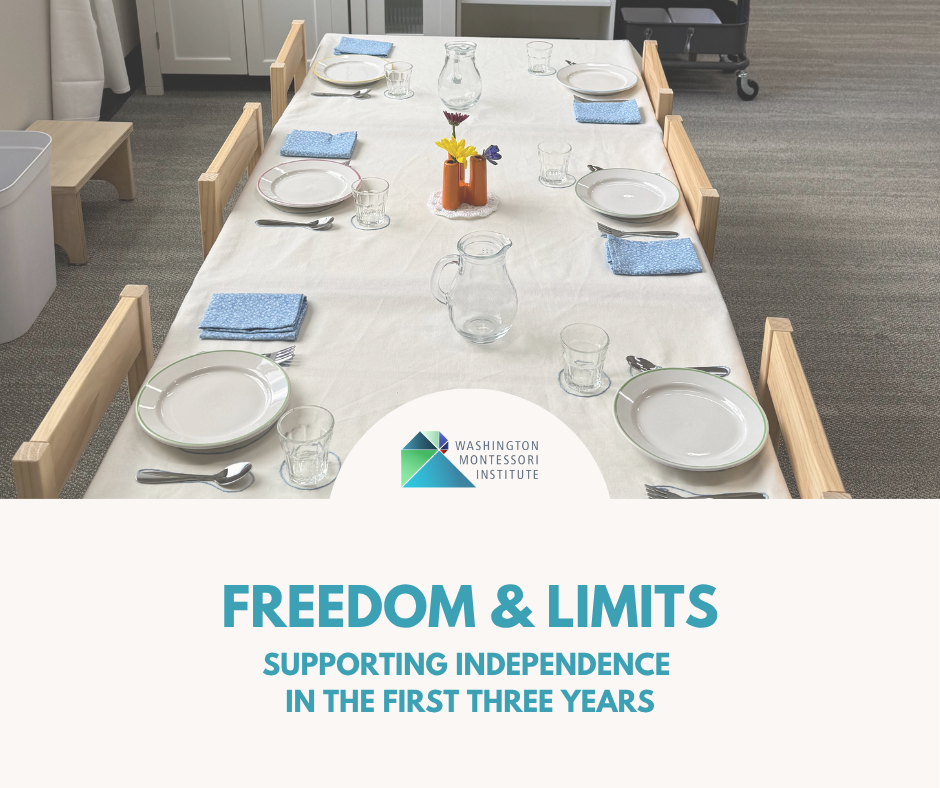 WMI | Workshop: Freedom &amp; Limits