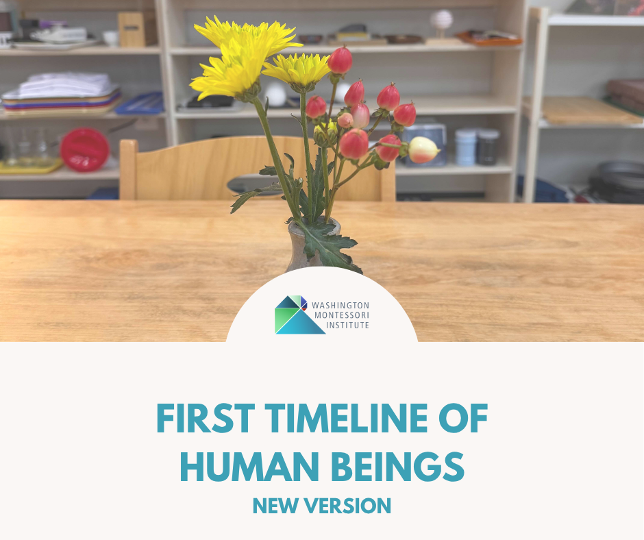 WMI | First Timeline of Human Beings: New Version