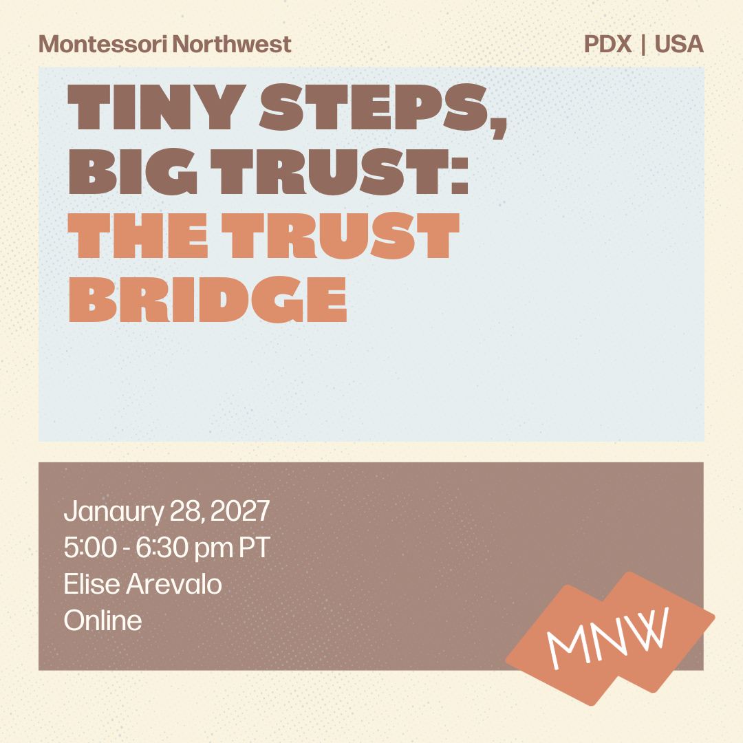 MNW | Tiny Steps, Big Trust Series: The Trust Bridge