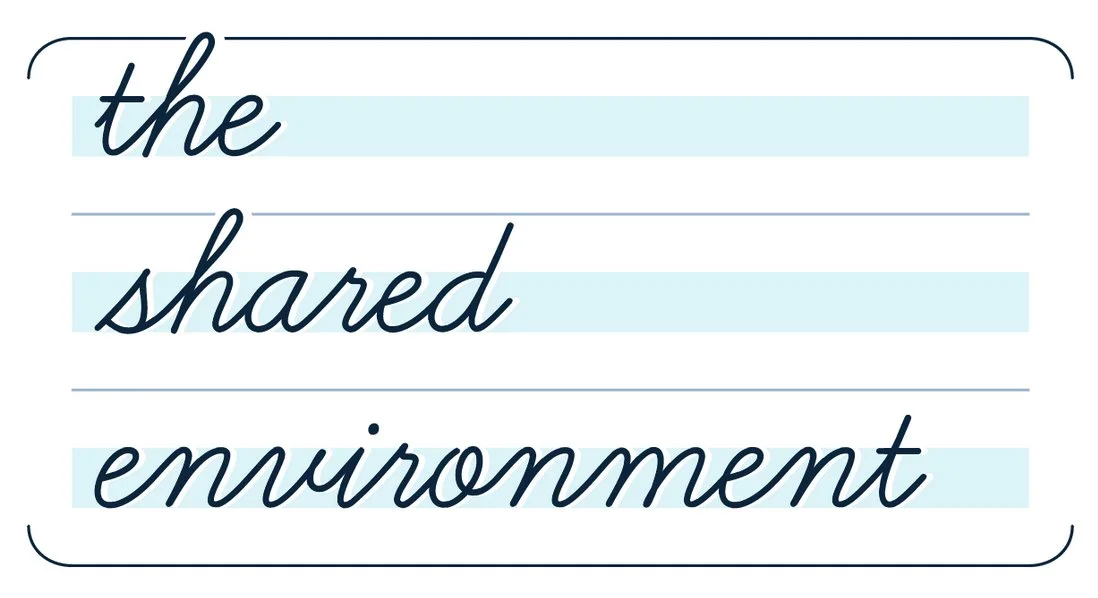 The Shared Environment Logo.jpg
