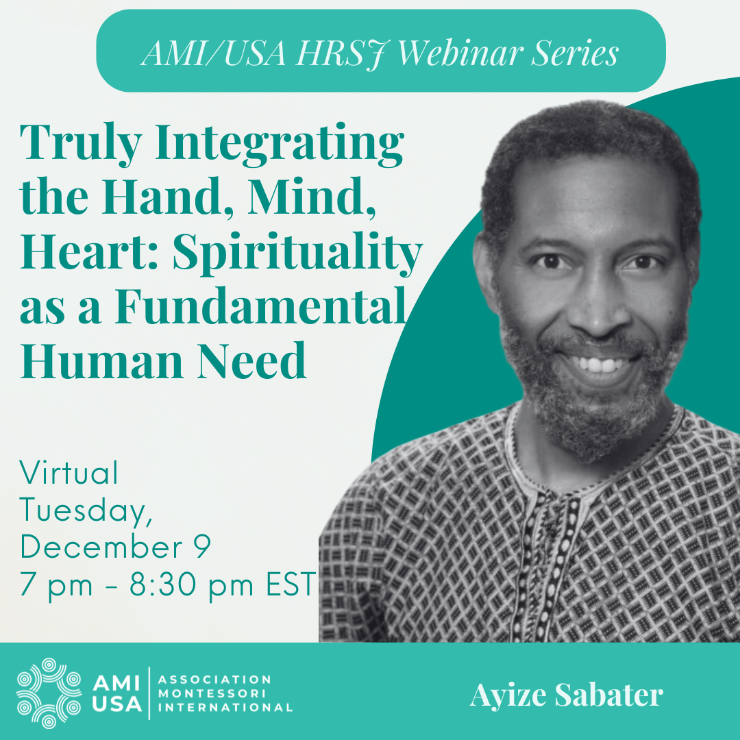 AMIUSA Teacher Webinar Series (18).png