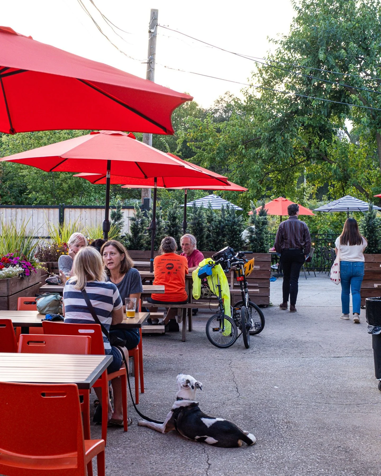 Here&rsquo;s what&rsquo;s coming up at Burning Bush this October!

Live Music First Fridays with @greasyskilletjugband (Friday, October 3)

Houseplant Workshop with @uncommonplantguy (Thursday, October 16)

Fall Fest with @riverroomchicago (Sunday, O
