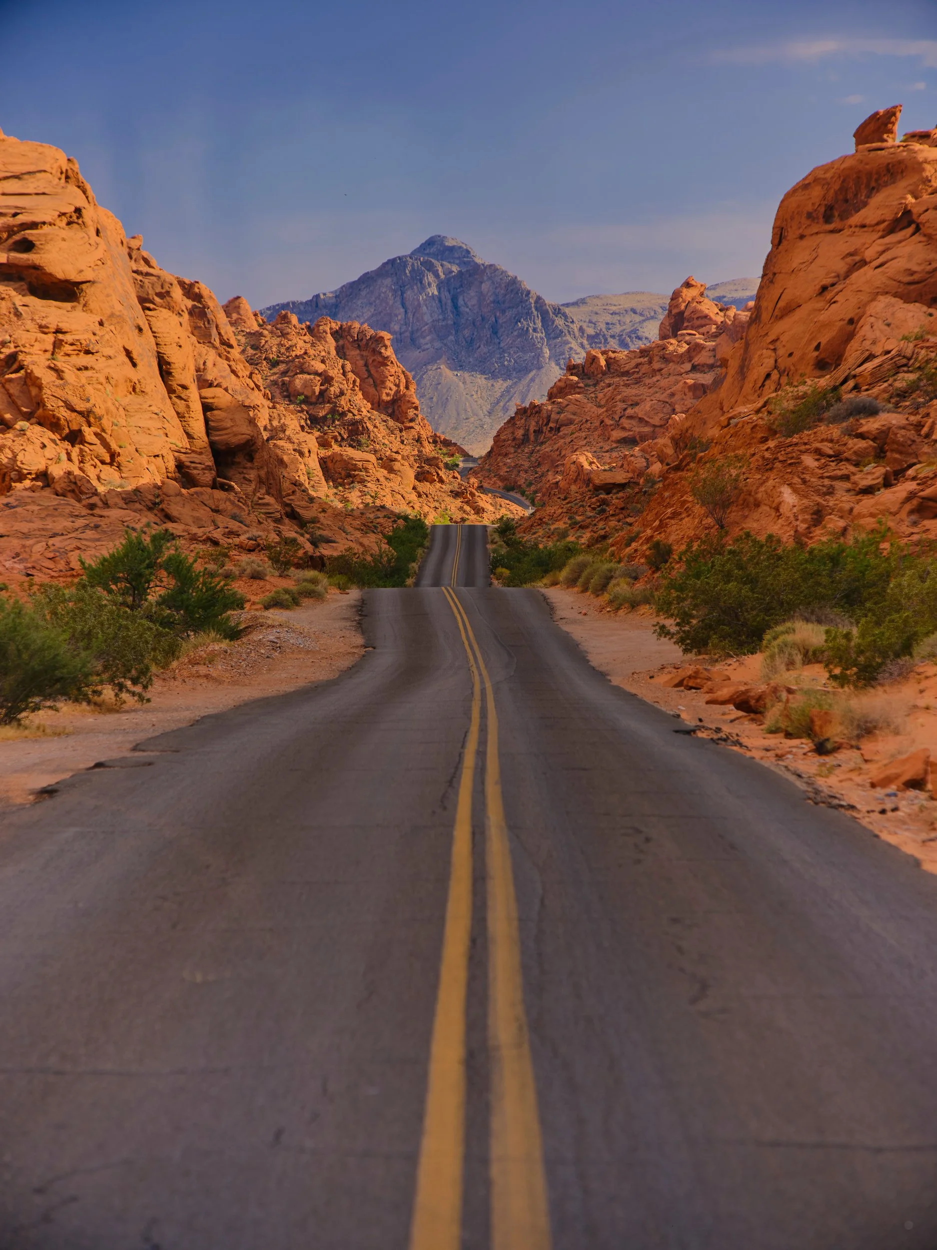 ©Robert Dixie Trawick