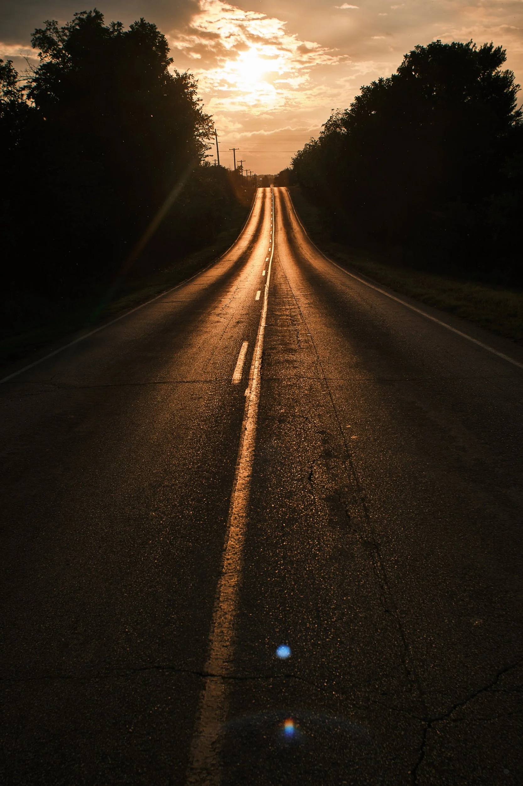 ©Robert Dixie Trawick