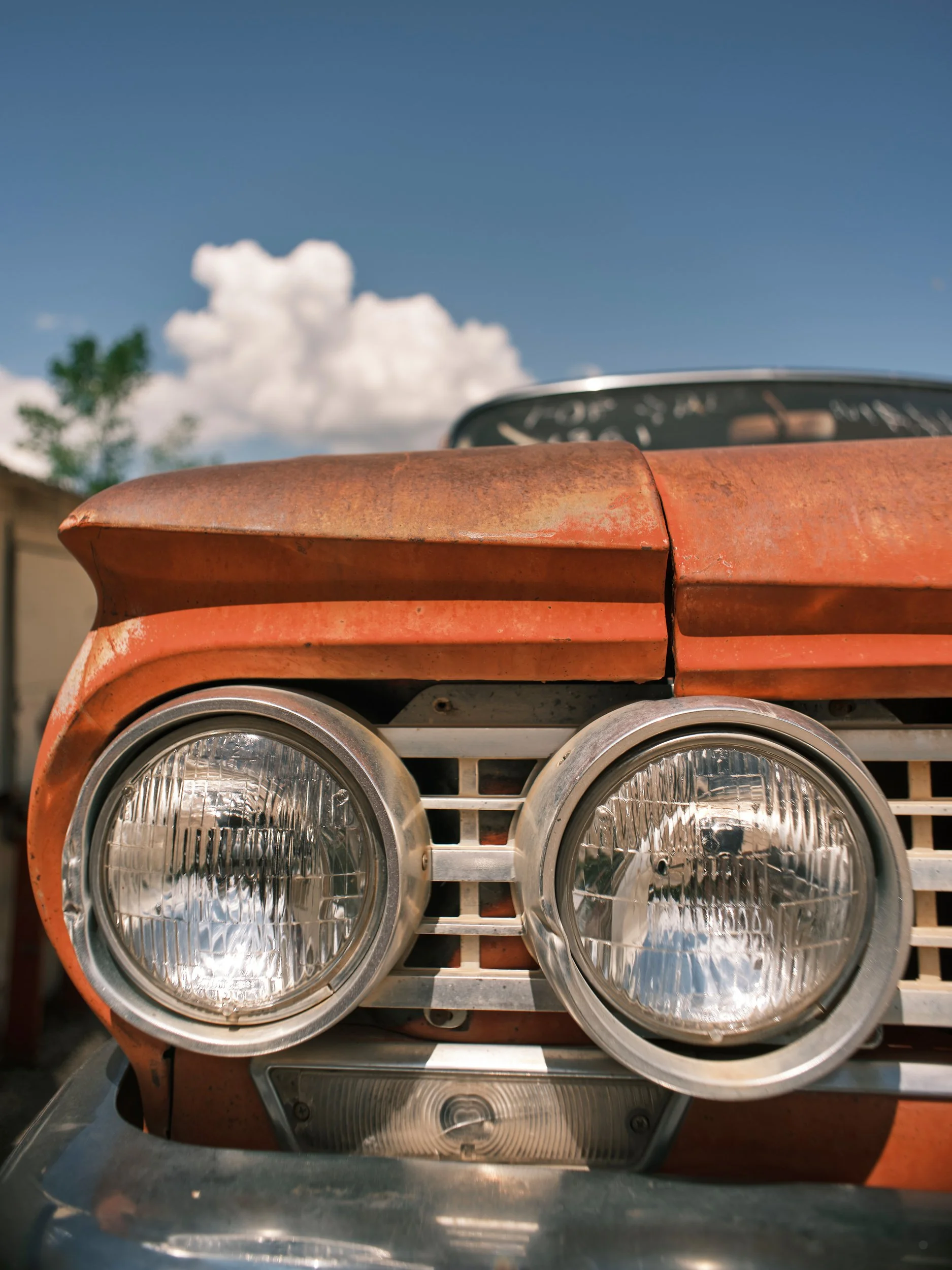 ©Robert Dixie Trawick