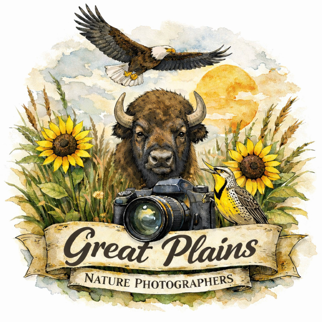 Great Plains Nature Photographers.png