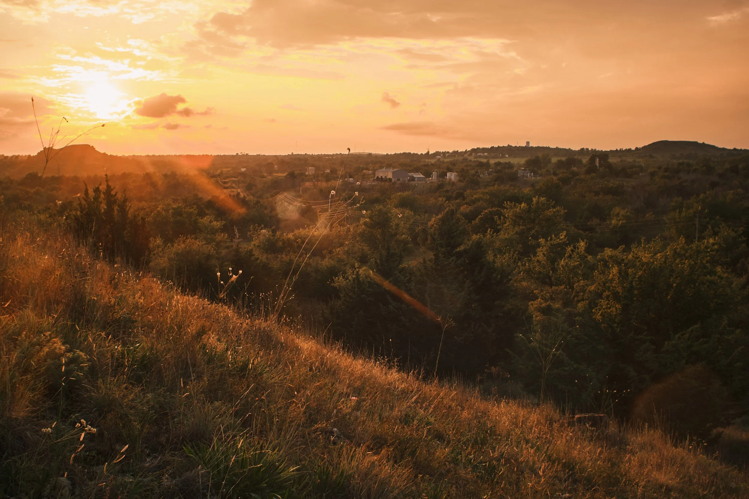 ©Robert Dixie Trawick