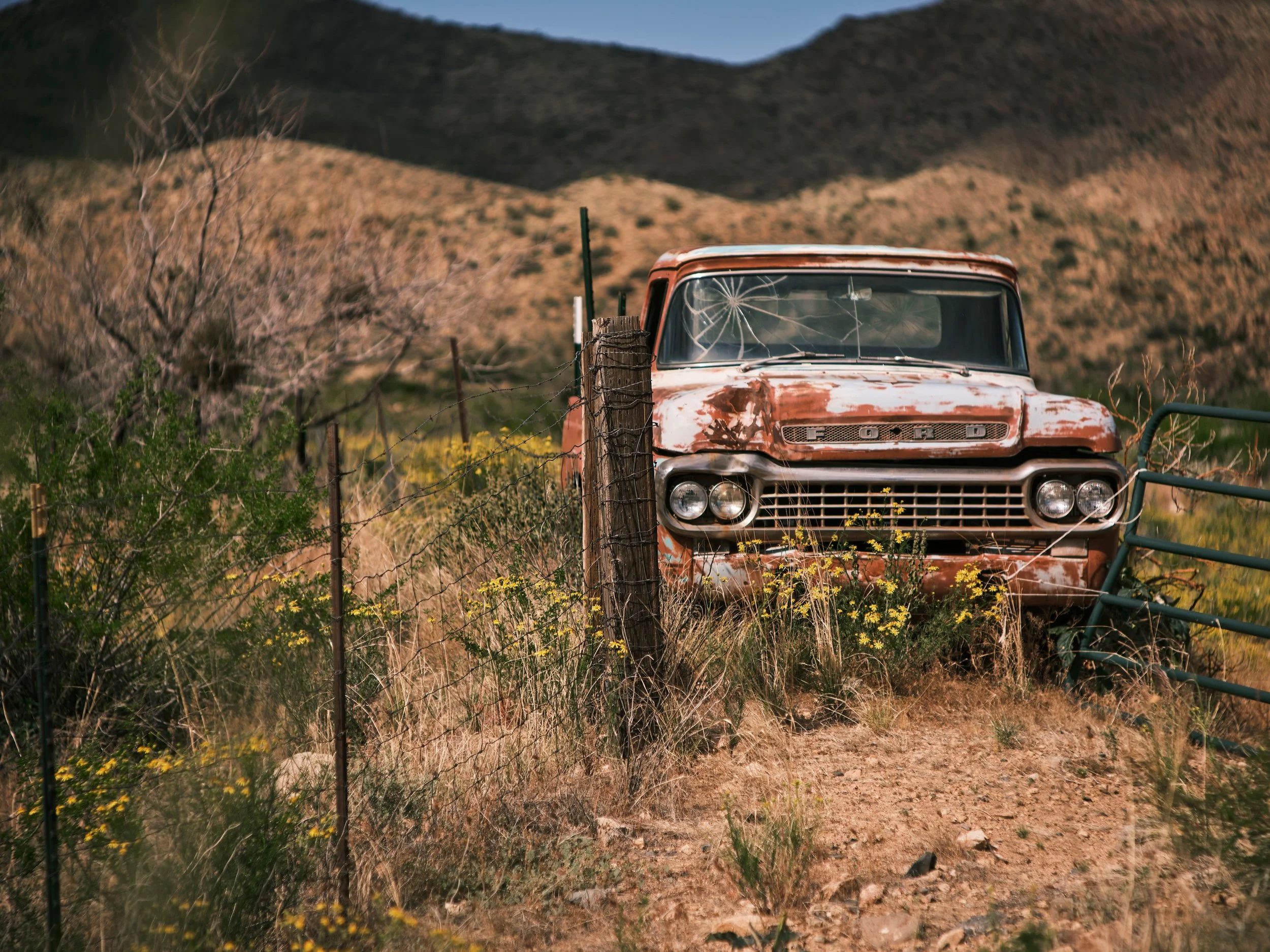 ©Robert Dixie Trawick