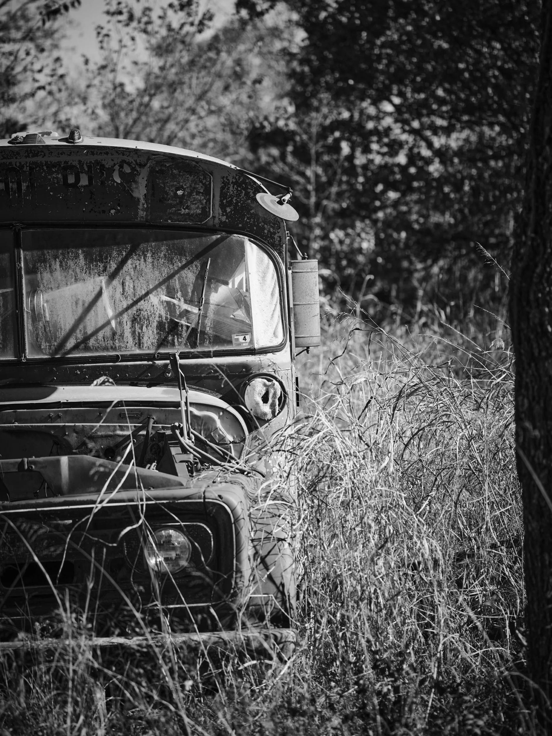 ©Robert Dixie Trawick