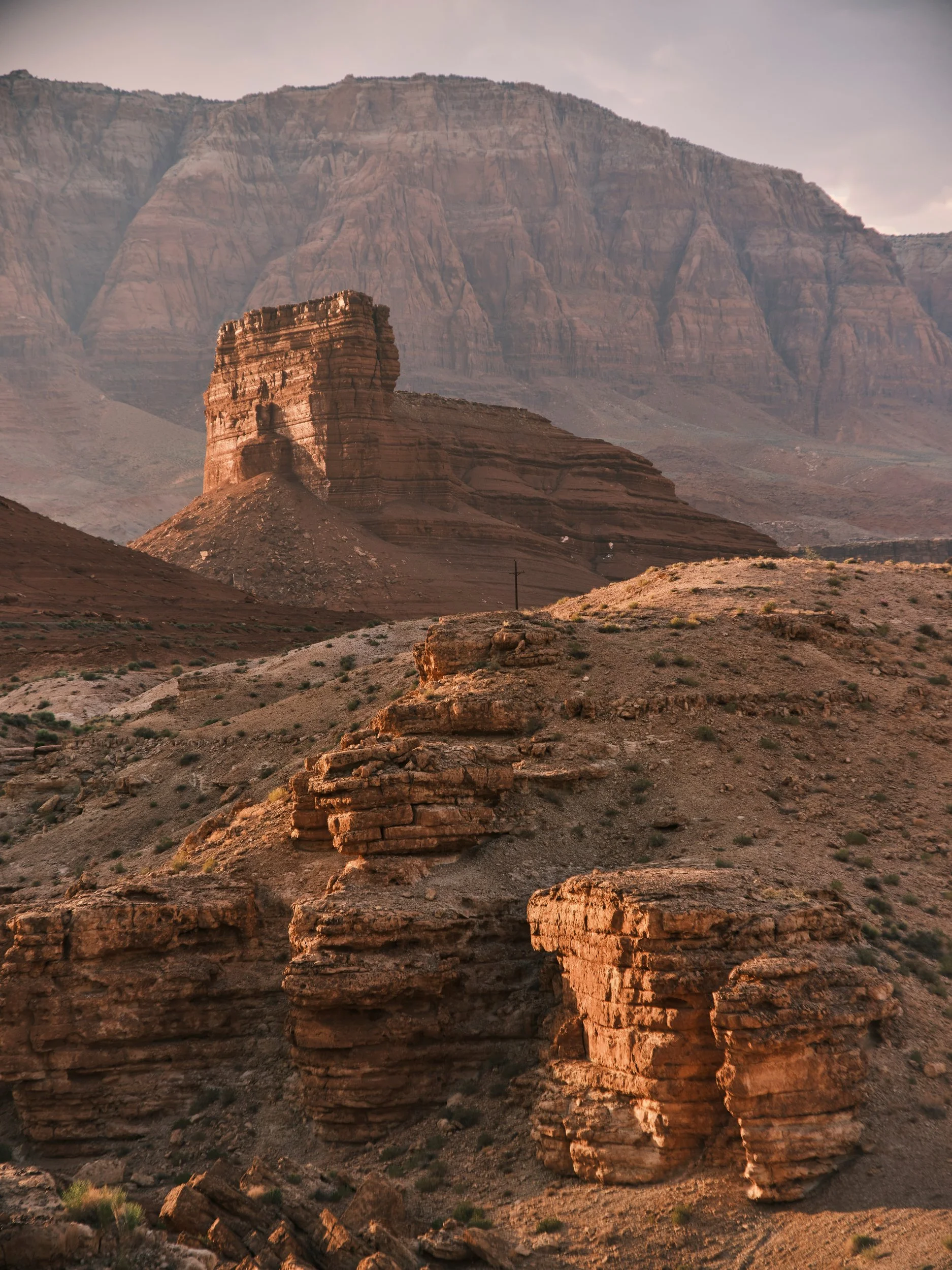 ©Robert Dixie Trawick