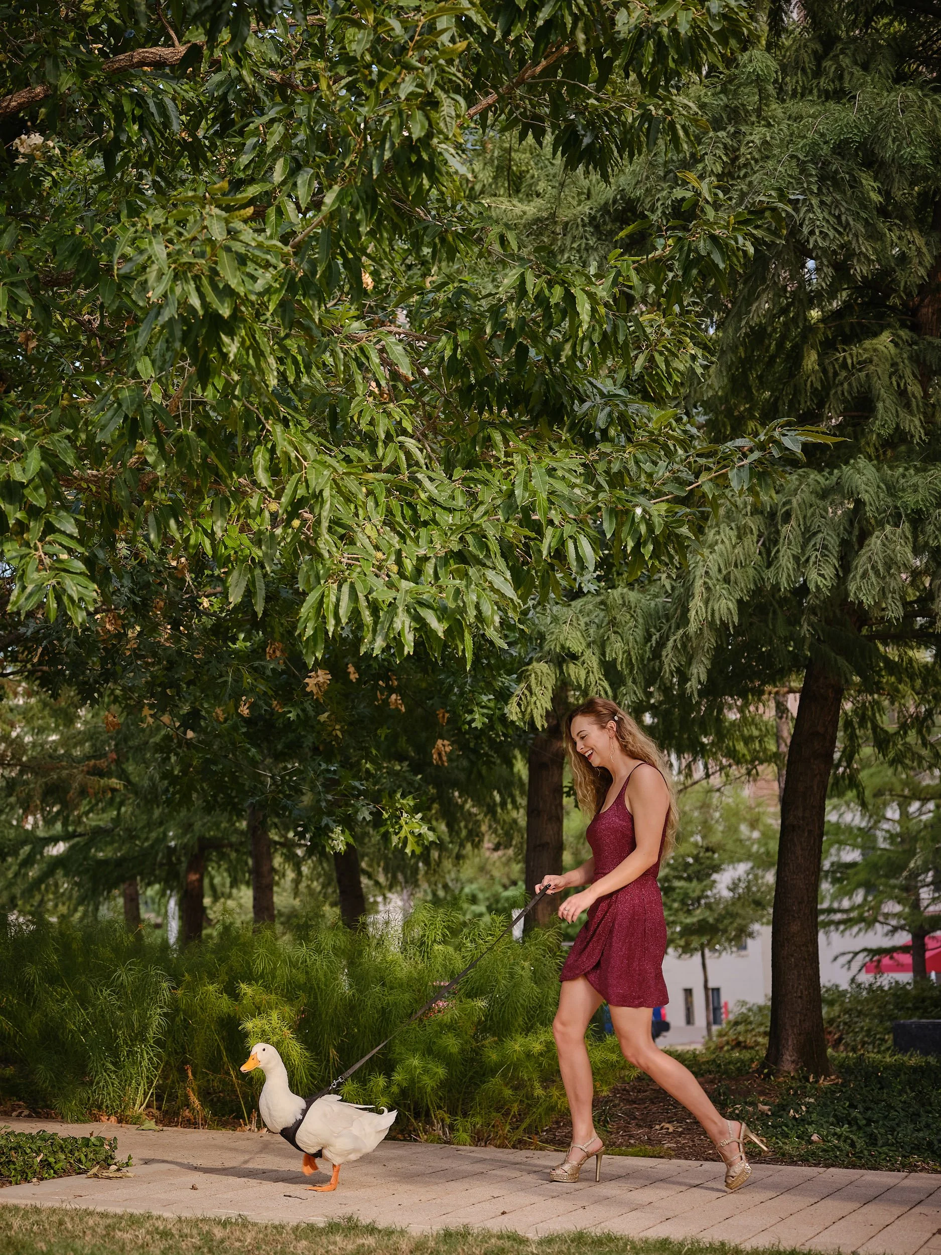 ©Robert Dixie Trawick