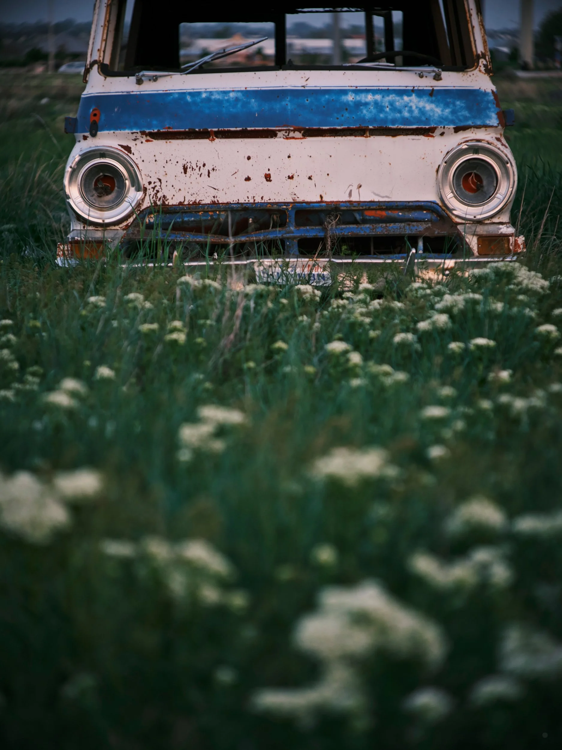 ©Robert Dixie Trawick