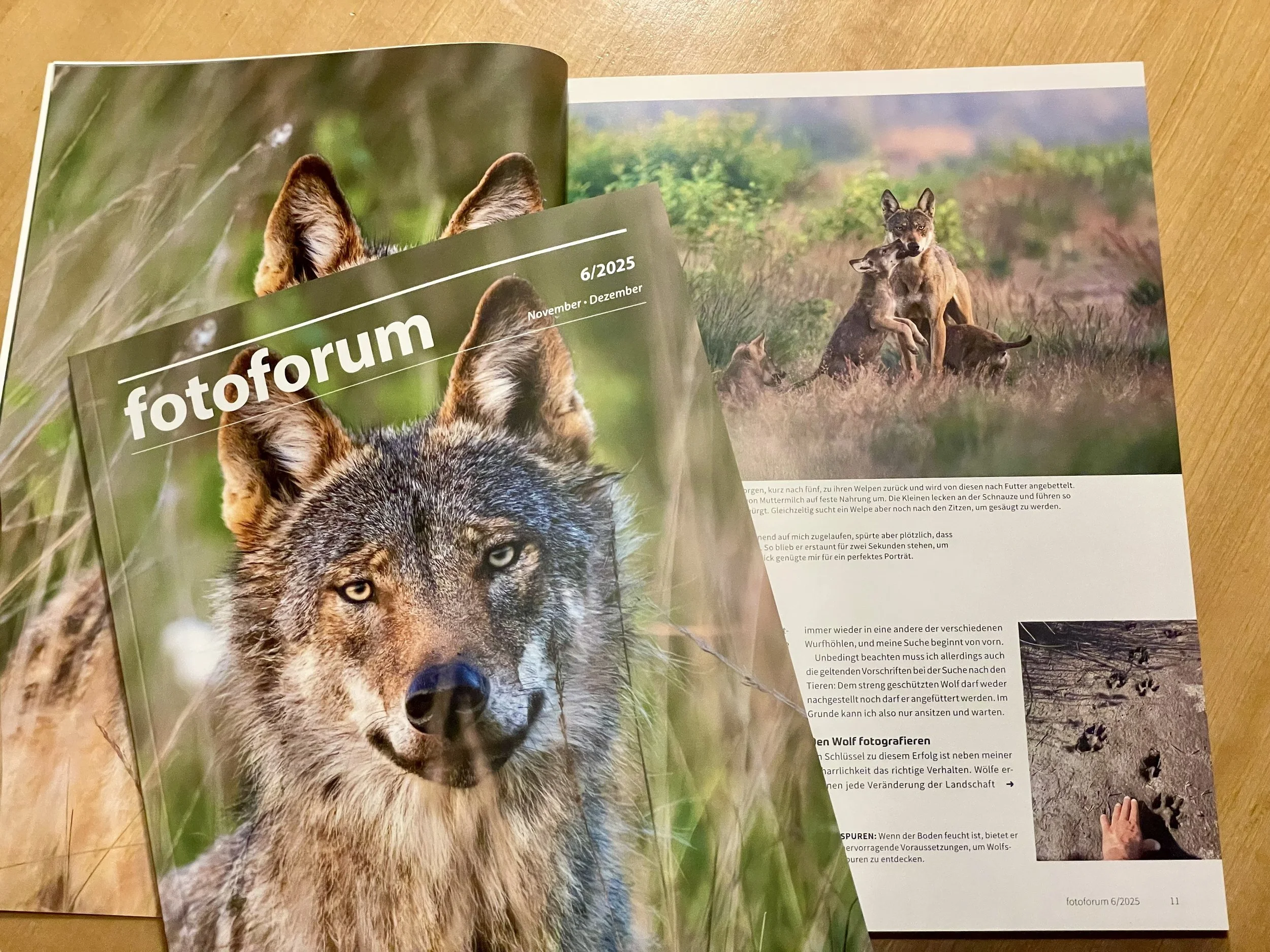 10 Seiten Wolf im neuen Fotoforum-Magazin