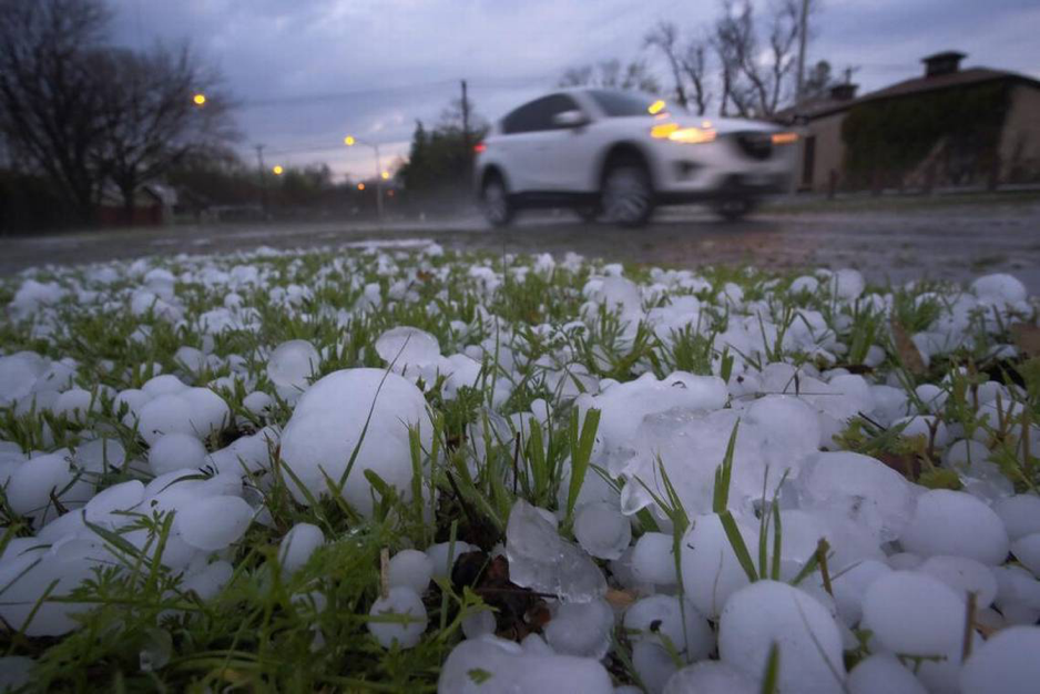 Large hailstones on grass with a moving car on a wet road in the background.