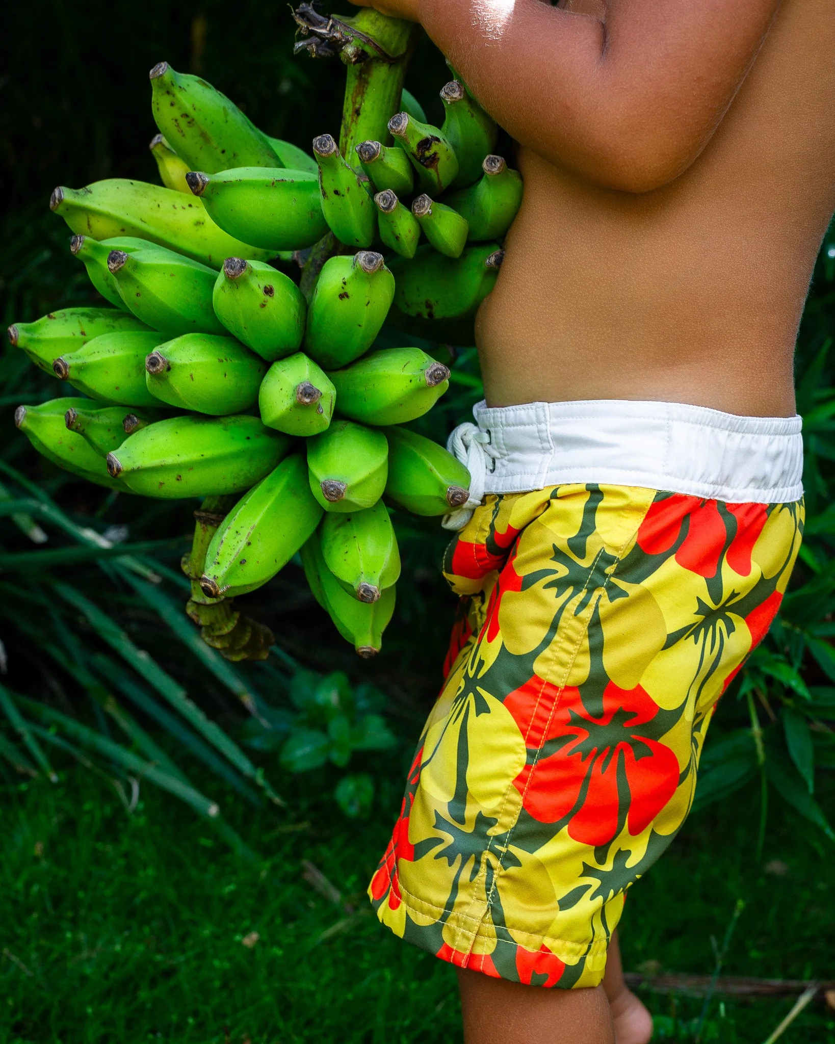 Classic Surf Trunks - Tropical Punch