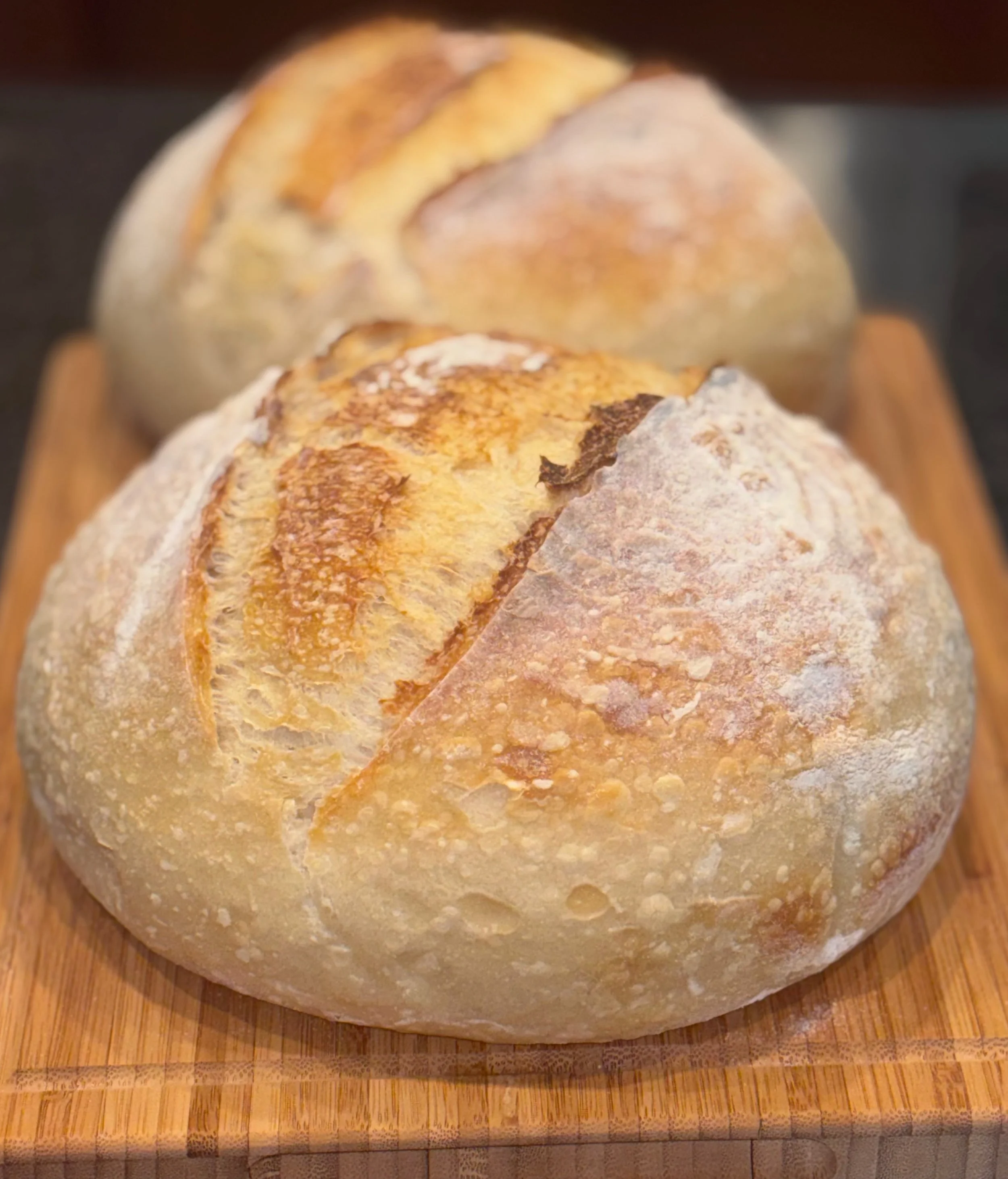Simple White Sourdough Boule