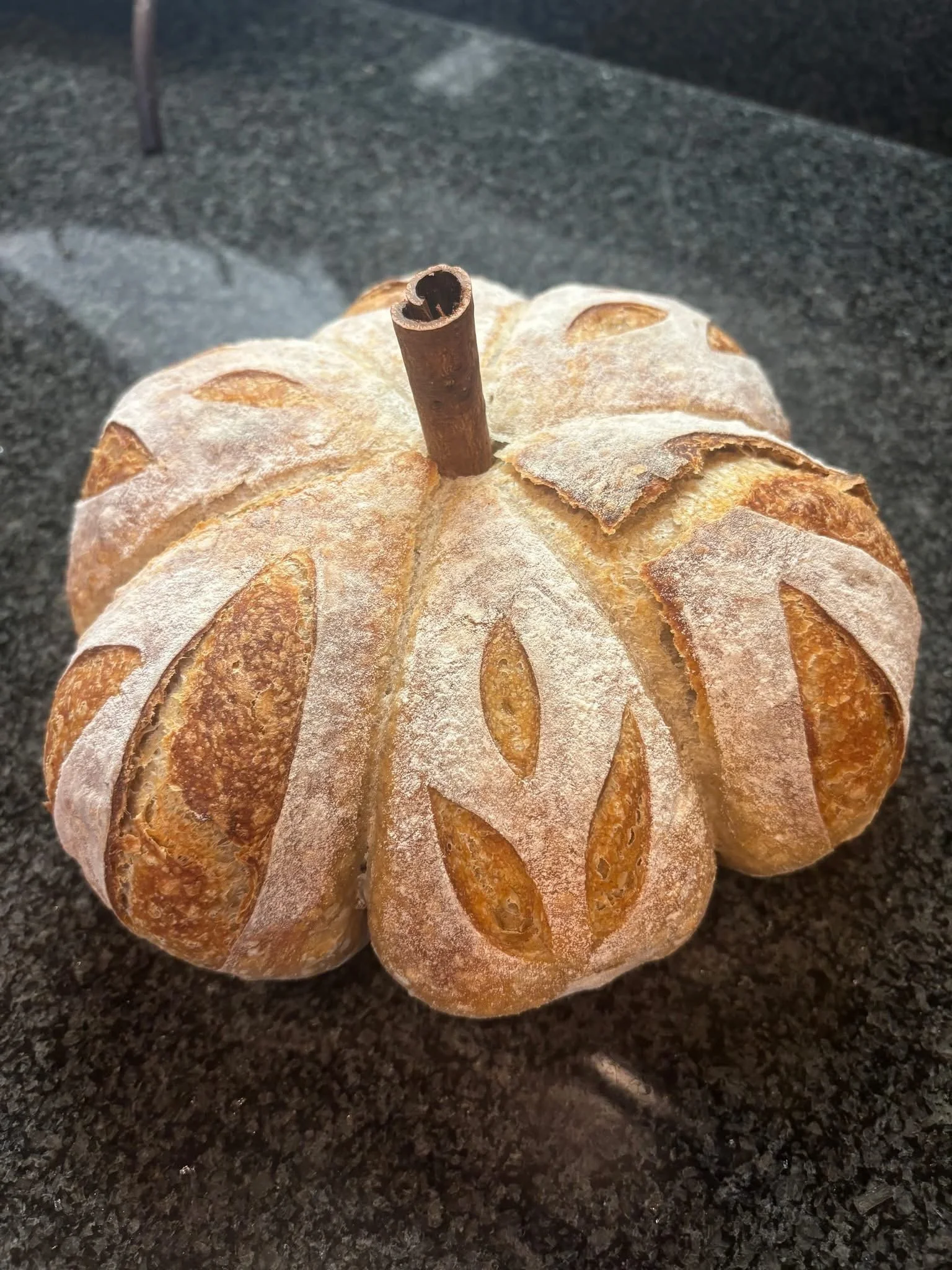 pumpkin1.jpeg