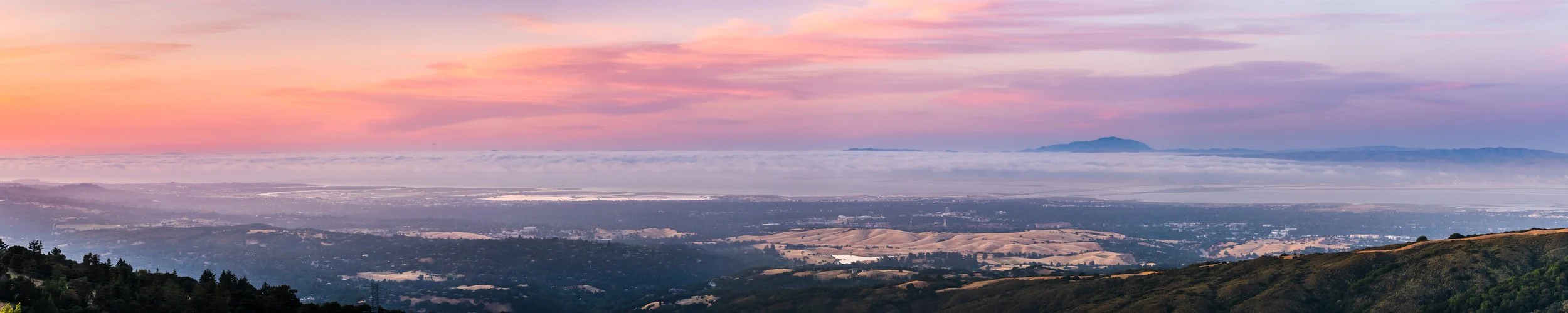 Dating in Silicon Valley: The Reality Behind the Tech Scene 