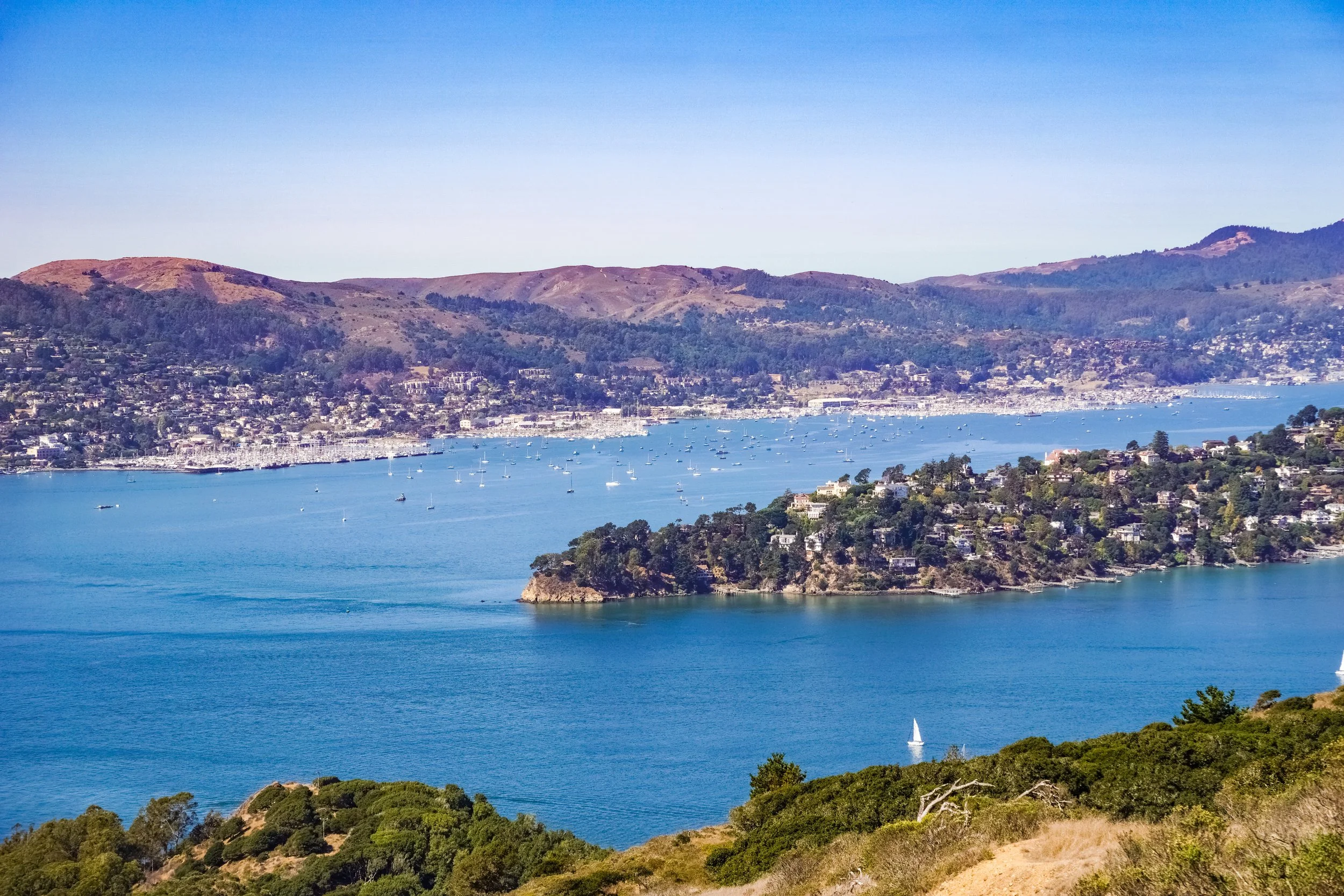 Where to Meet Singles in Marin: Top Spots for Real Connections