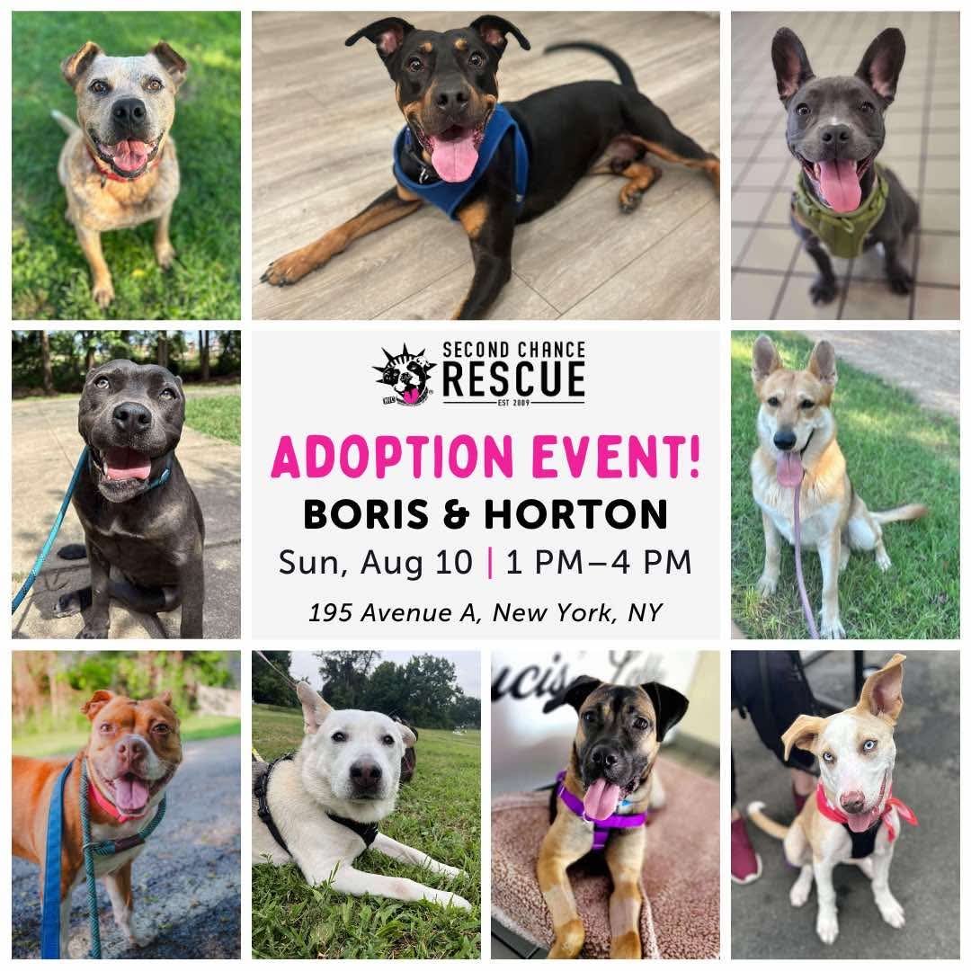 NY Second Chance Rescue Adoption