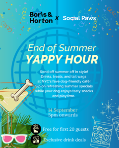 Yappy Hour with Social Paws