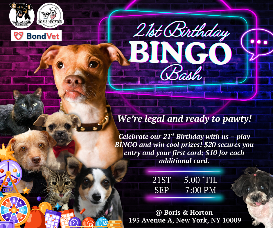Waggytail 21st Birthday Bingo