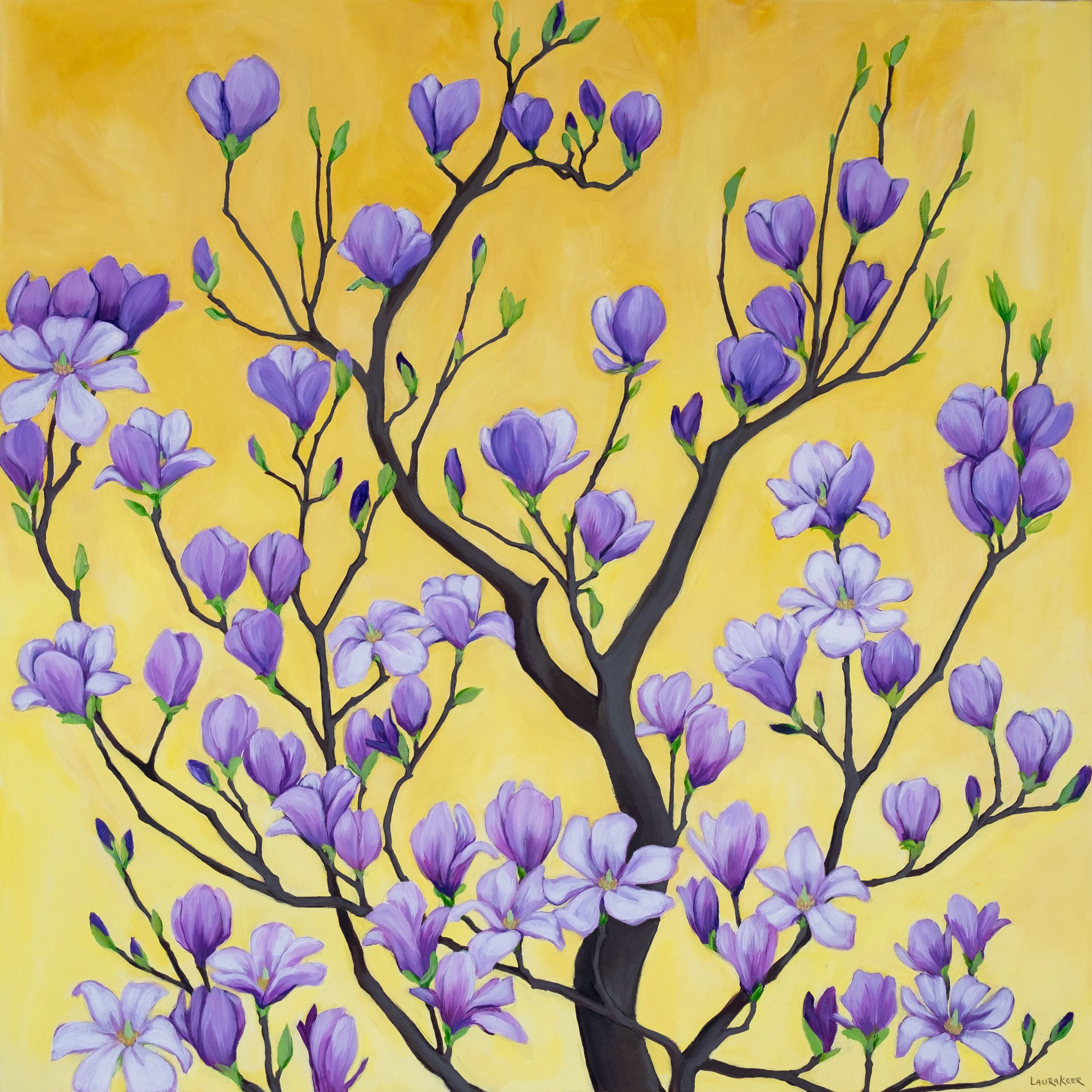 purple magnolia