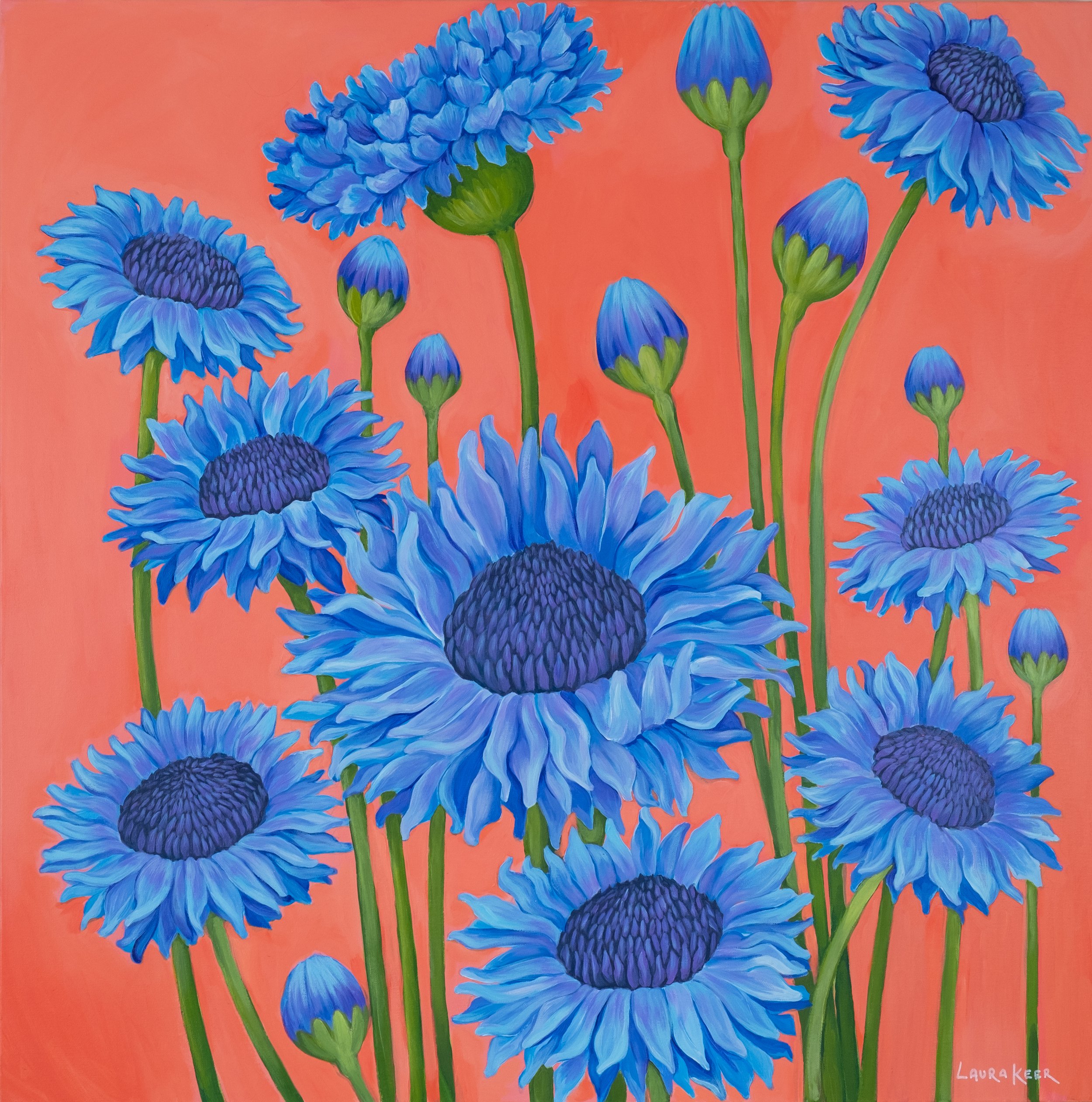 blue in bloom