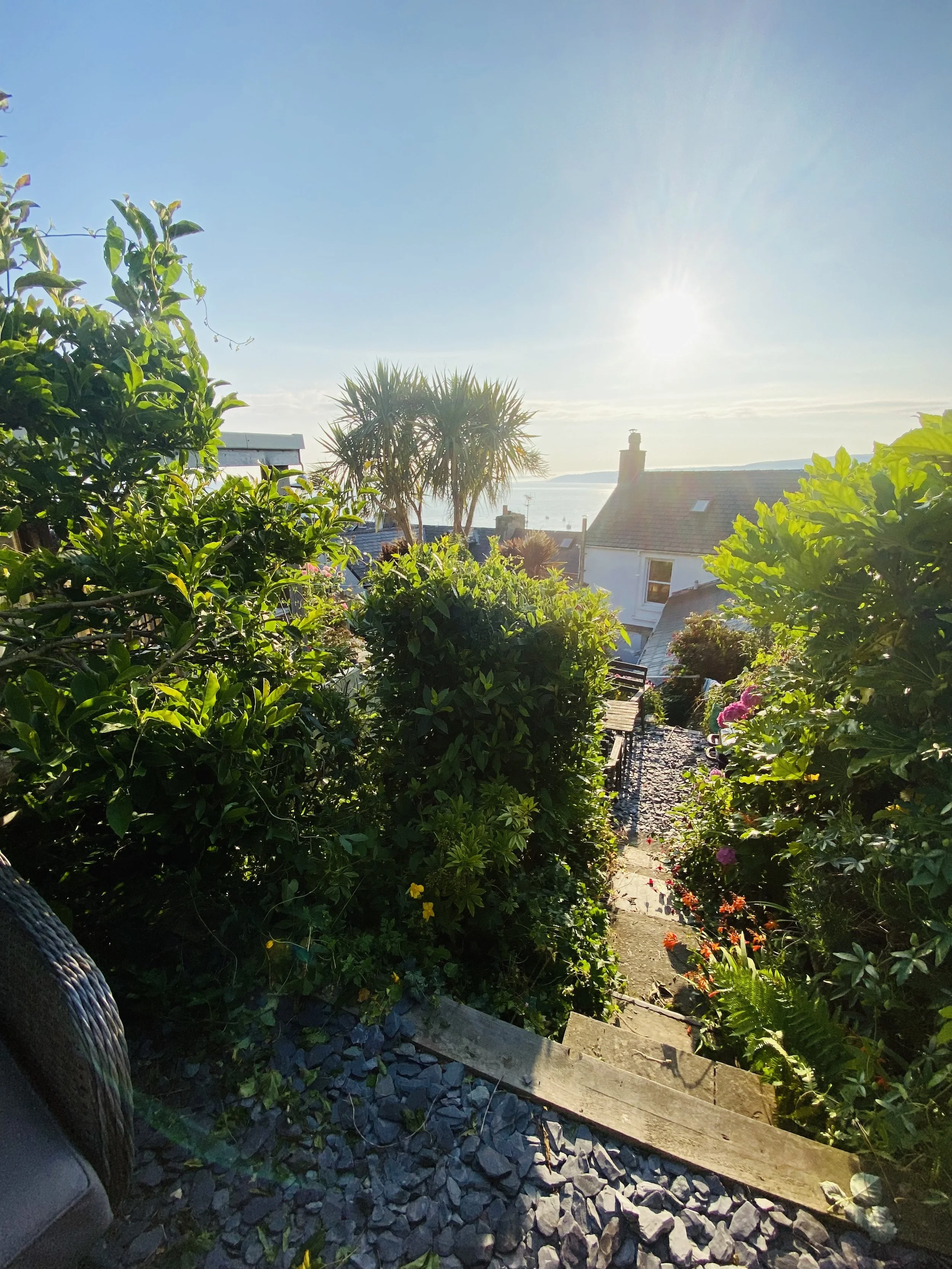 Garden with plants and a pathway leading to a house, overlooking a body of water and hills under a setting sun.