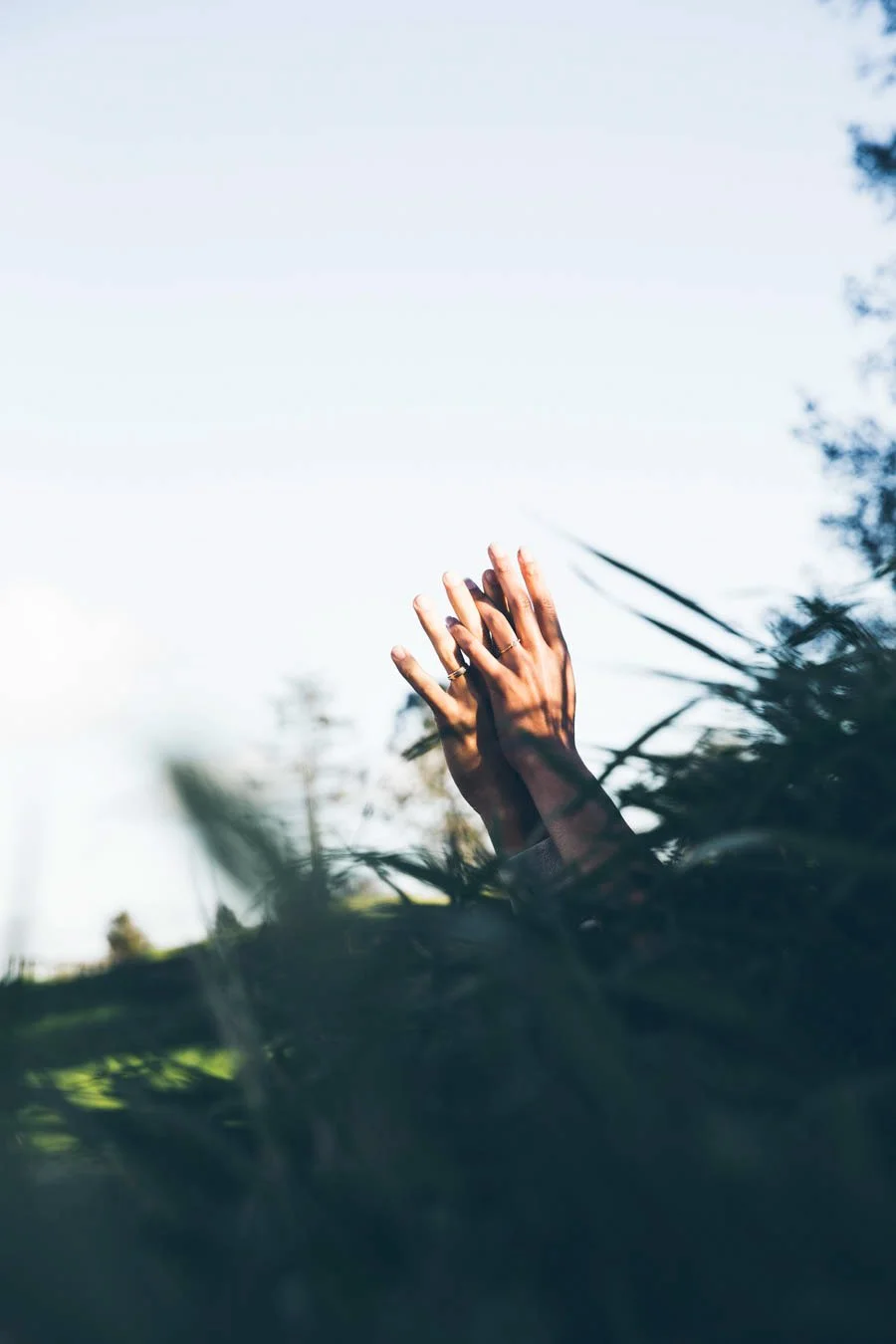 Two hands with rings reaching upward through tall grass towards a clear sky.