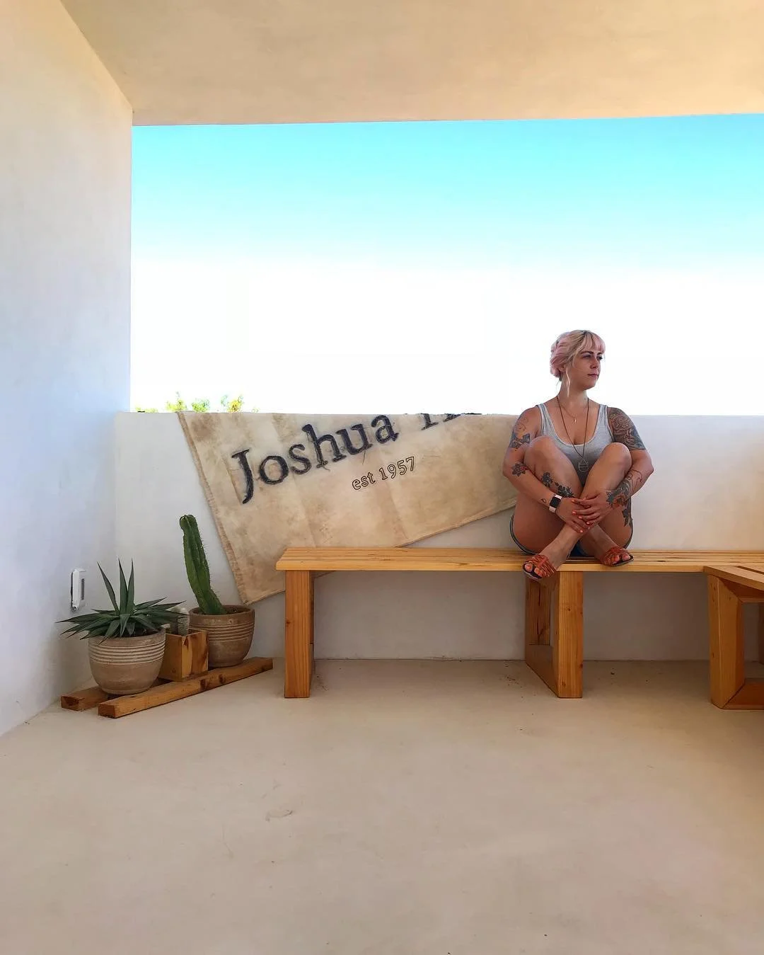 A woman with pink hair and tattoos sitting on a wooden bench in a minimalist outdoor space. Behind her, a flag with the text "Joshua Tree est 1957" is draped. 