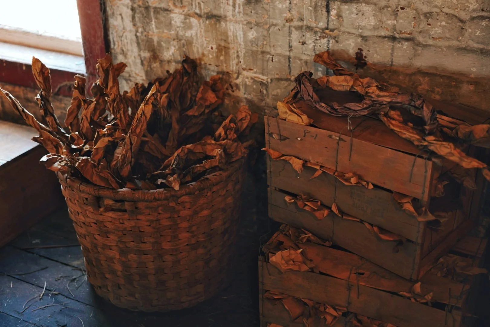 Prop & Set Design →