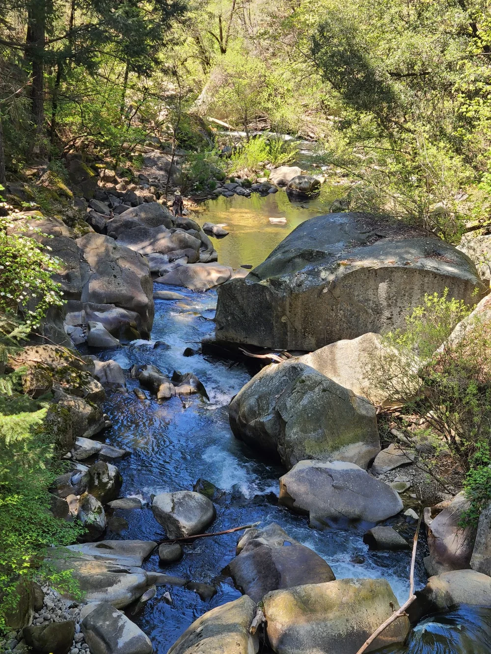  A field trip to the local creek where we connected with nature.  