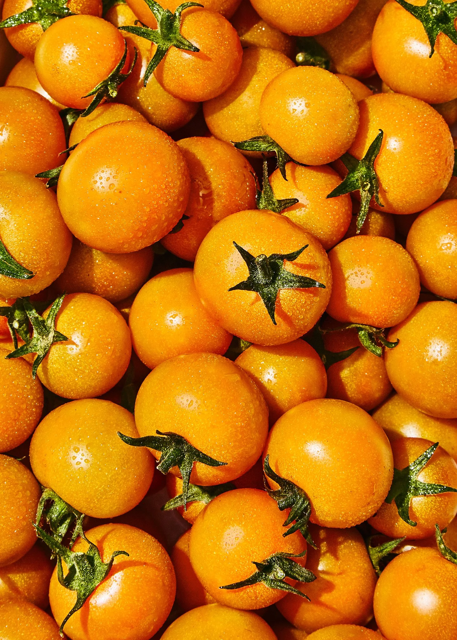 BA080118market01.jpg
