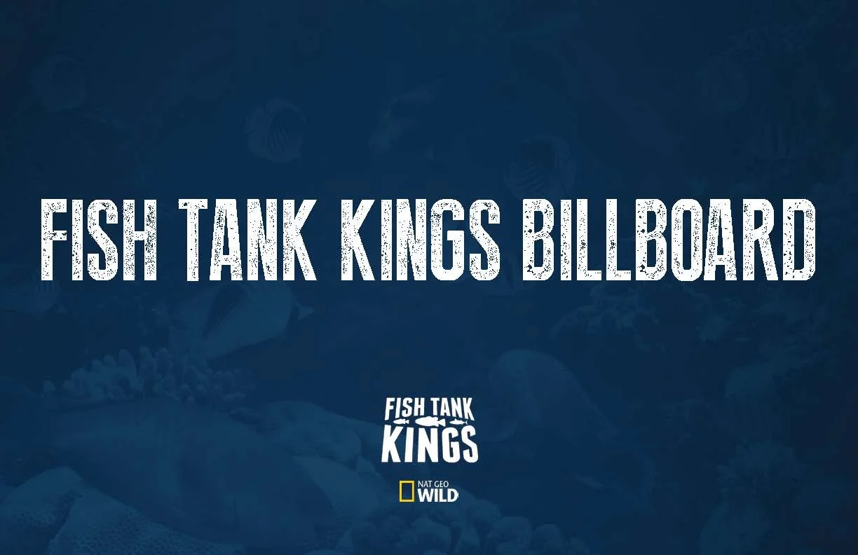 Text reading 'FISH TANK KINGS BILLBOARD' with logos for 'FISH TANK KINGS' and 'NAT GEO WILD' at the bottom