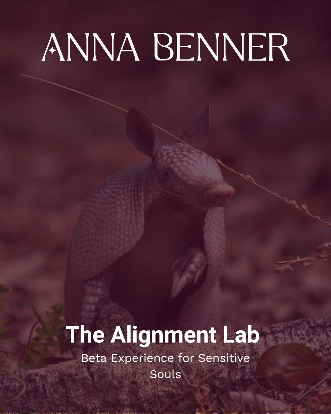 The Alignment Lab — Beta Experience for Sensitive Souls