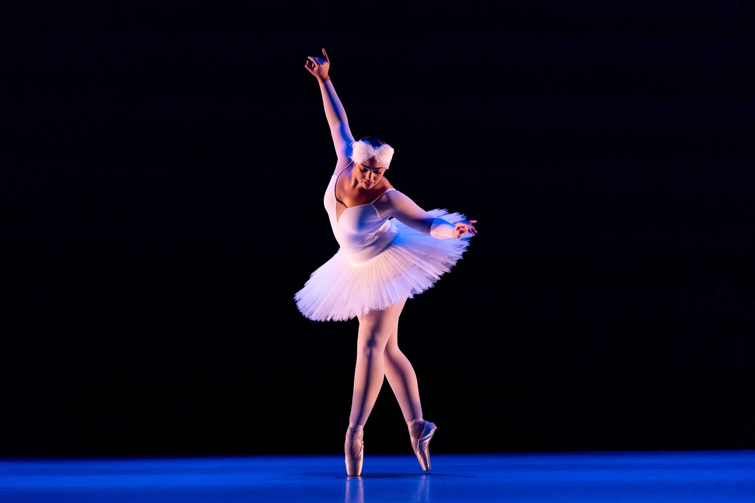 Intra_The Dying Swan_2025_0008.jpg