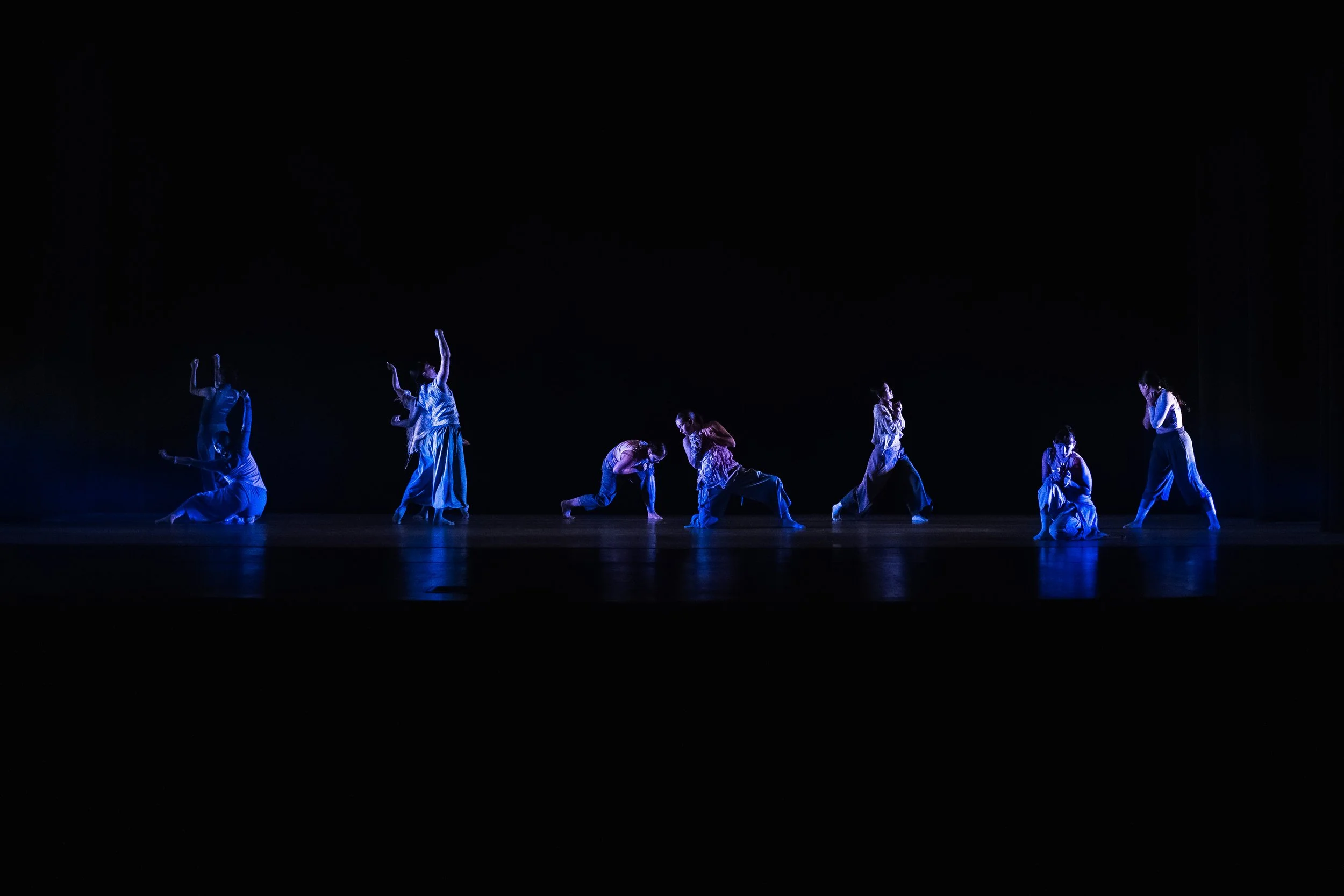 It Festers It Grows_Umbra_Spring Dance Concert 2026_0022.jpg