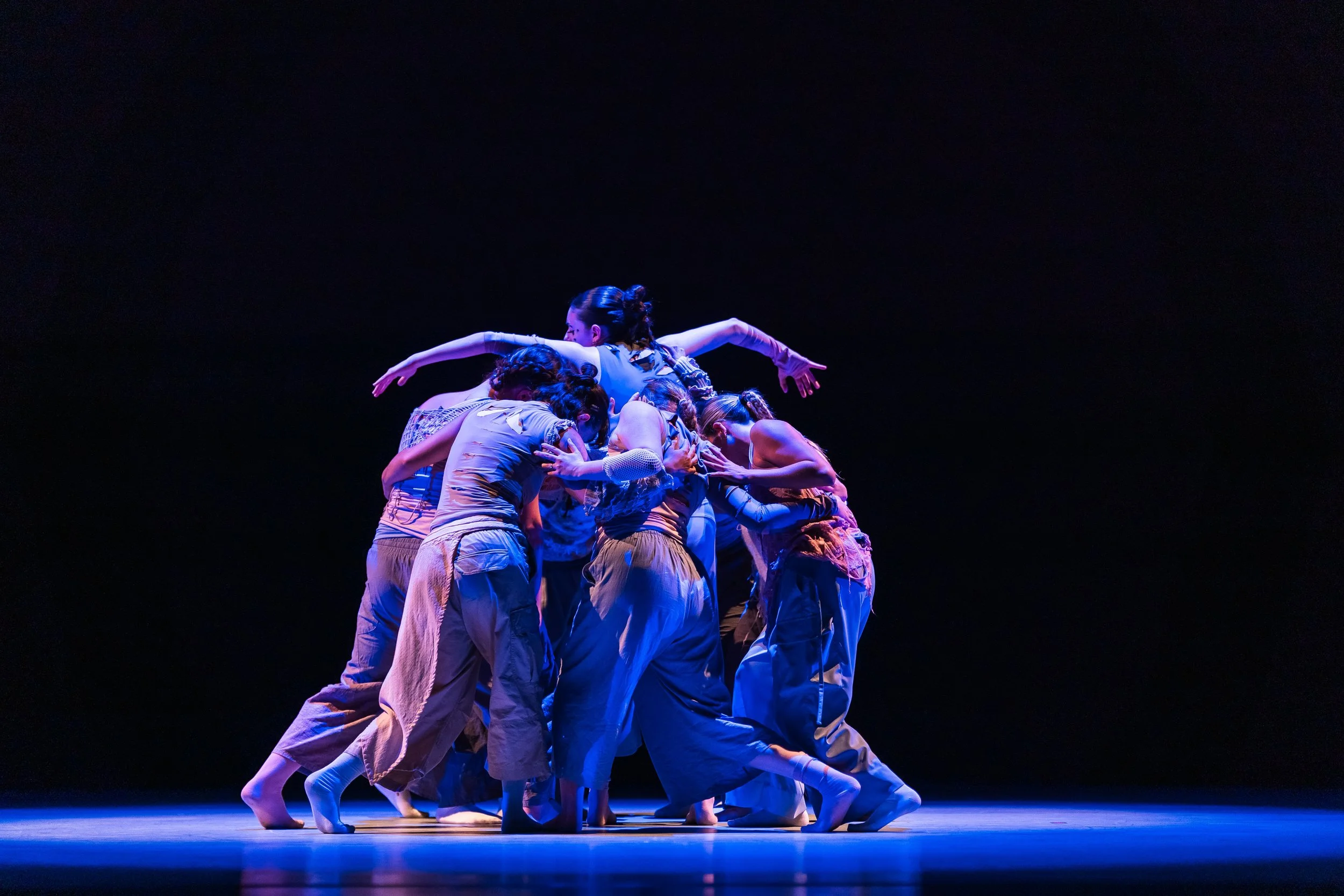 It Festers It Grows_Umbra_Spring Dance Concert 2026_0079.jpg