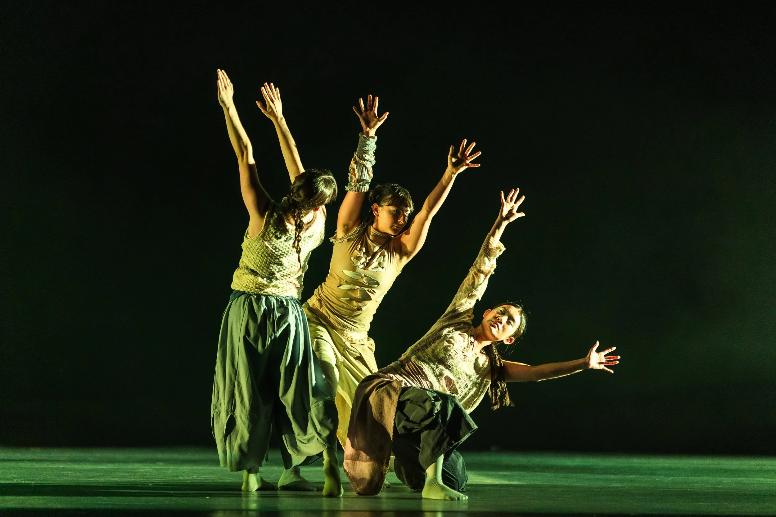 It Festers It Grows_Umbra_Spring Dance Concert 2026_0004.jpg